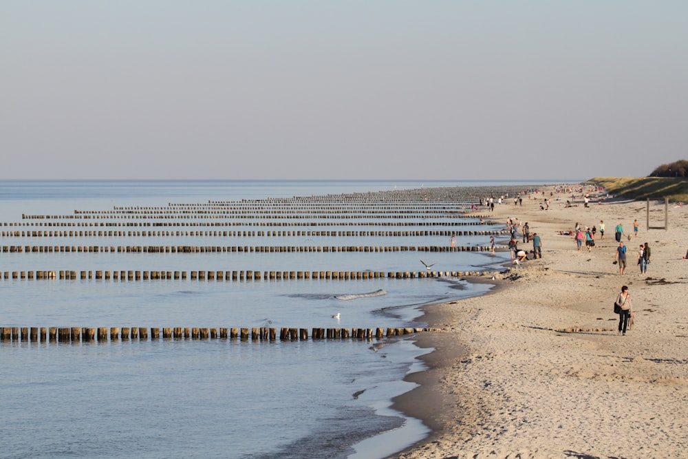 Un groupe de personnes marchant le long d’une plage au bord de l’océan