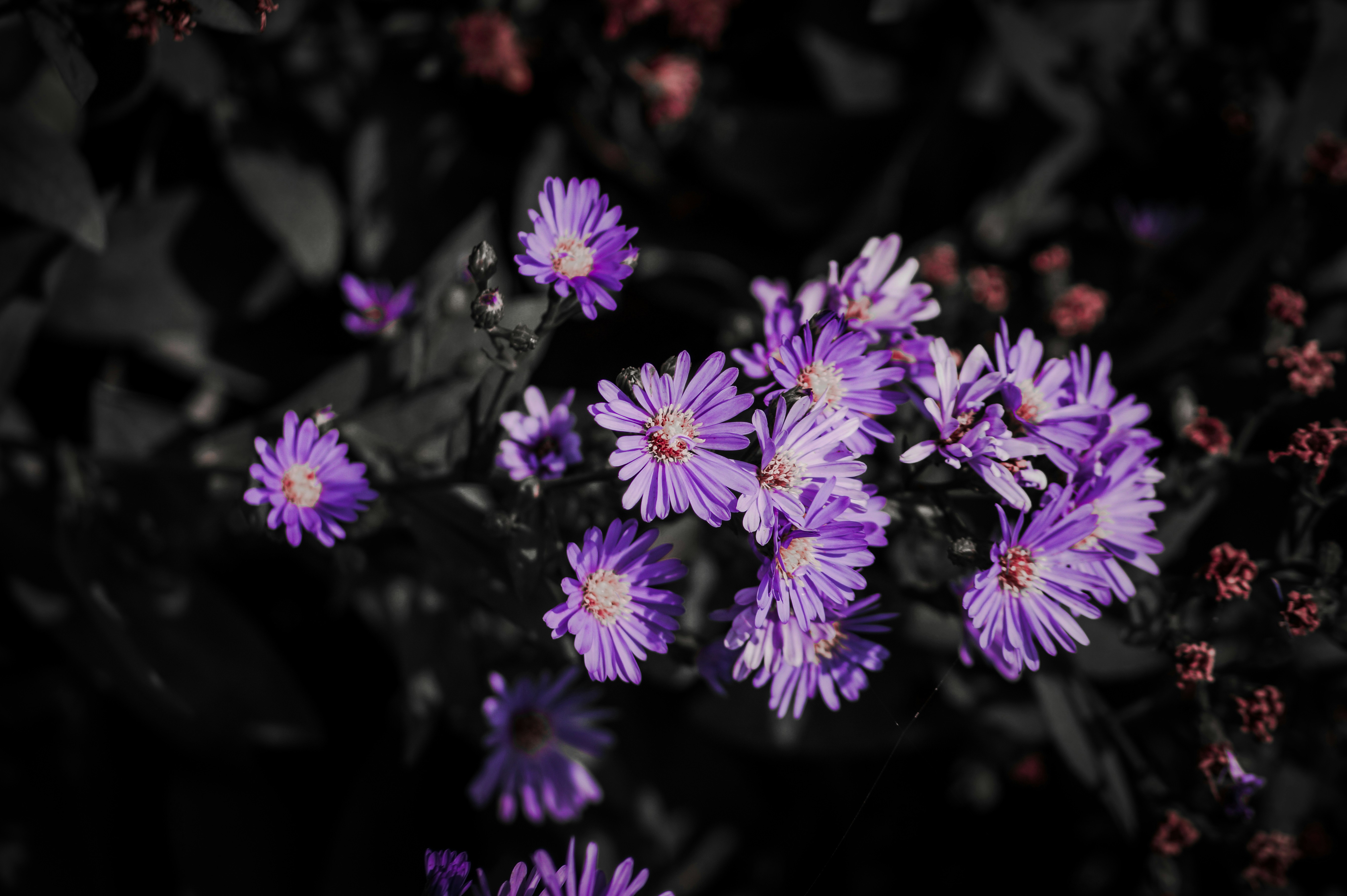 Photo by akshar_2598