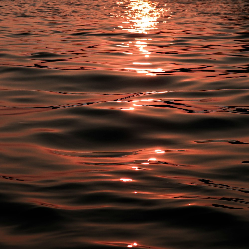 a body of water with the sun reflecting off of the water