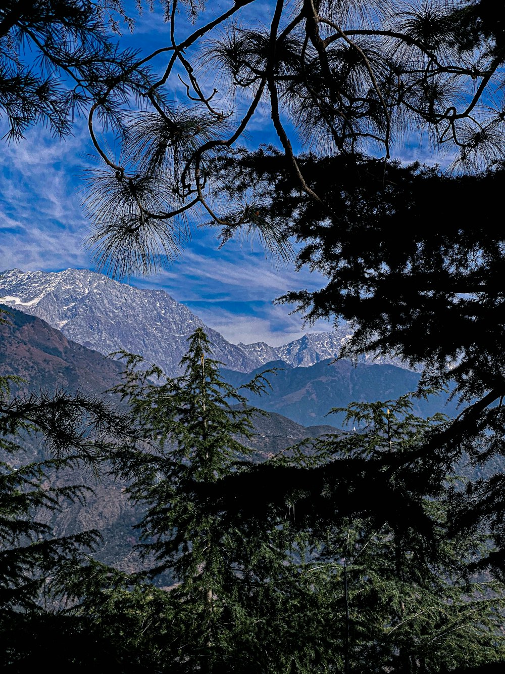 a view of a mountain range through some trees