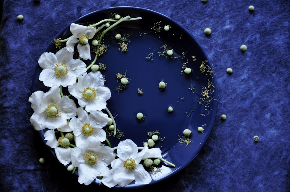 a blue plate with white flowers on it