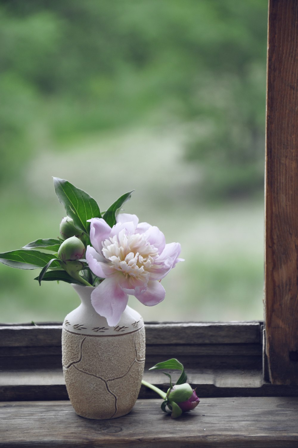 a white vase with pink flowers on a window sill