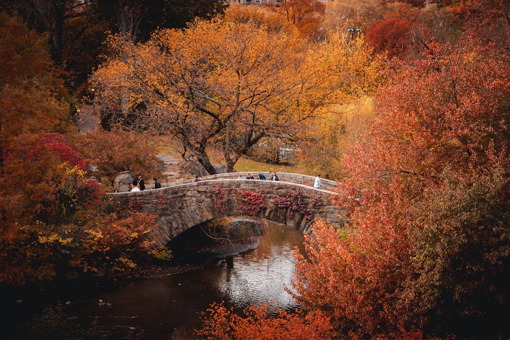 a stone bridge over a river surrounded by trees