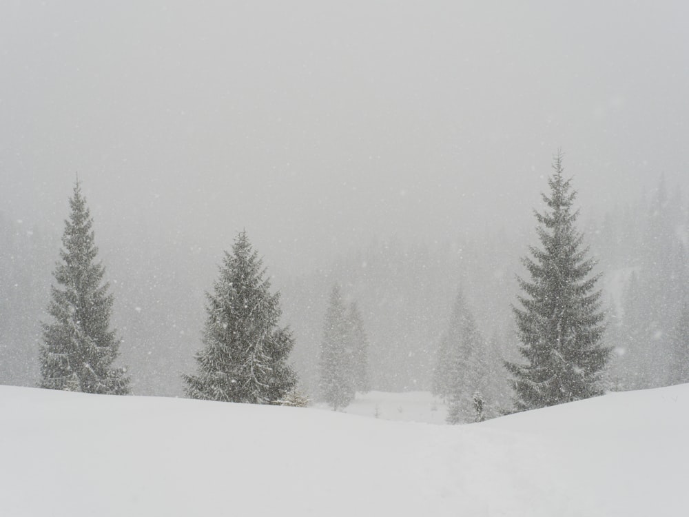 a person skiing down a snow covered slope