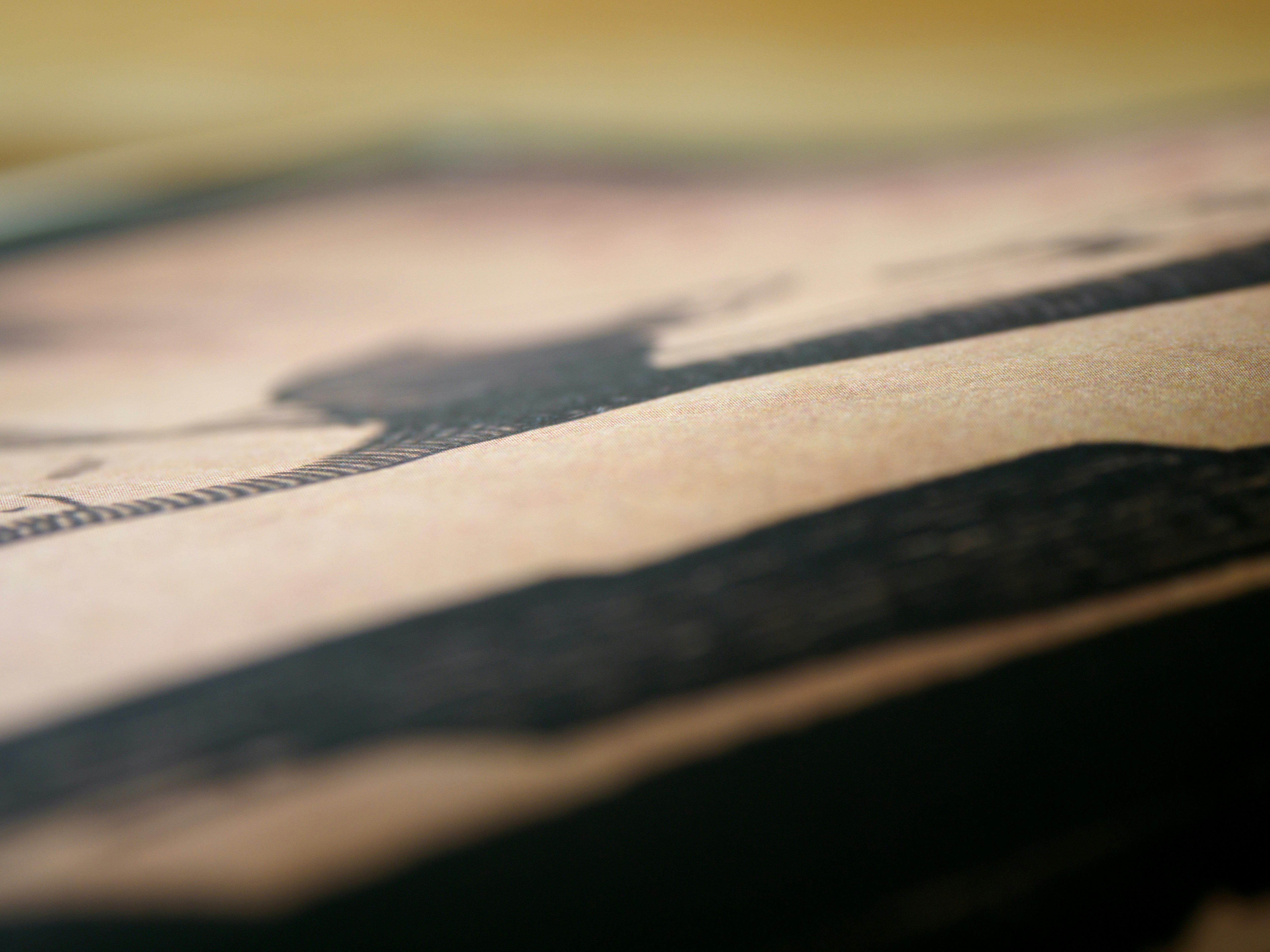 Photo by brett_jordan