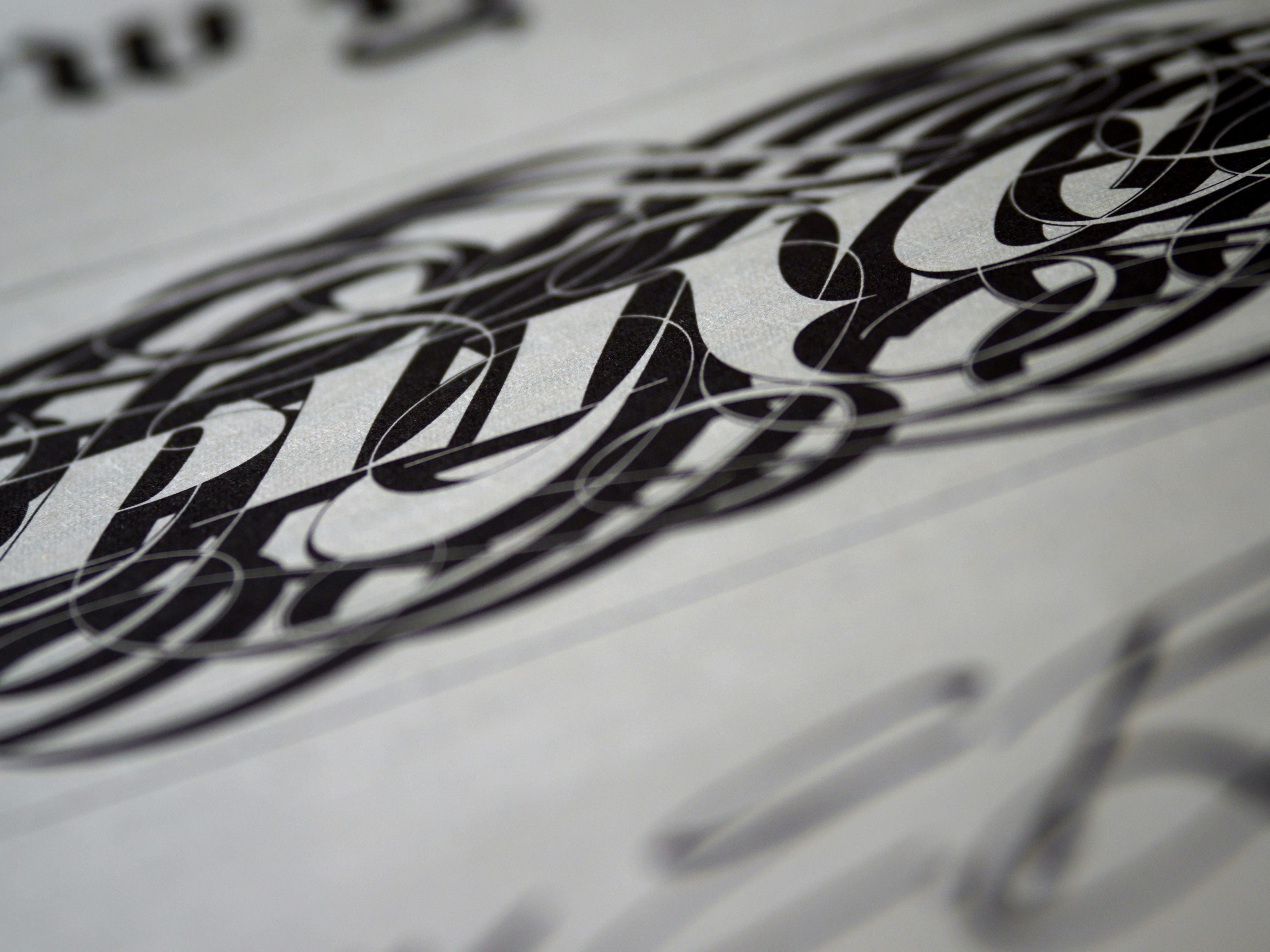 Dramatic flourishing calligraphy with sweeping loops on dark paper, atmospheric dark studio