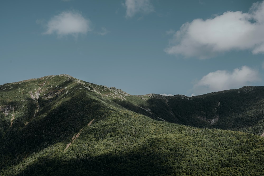 a close up of a hillside