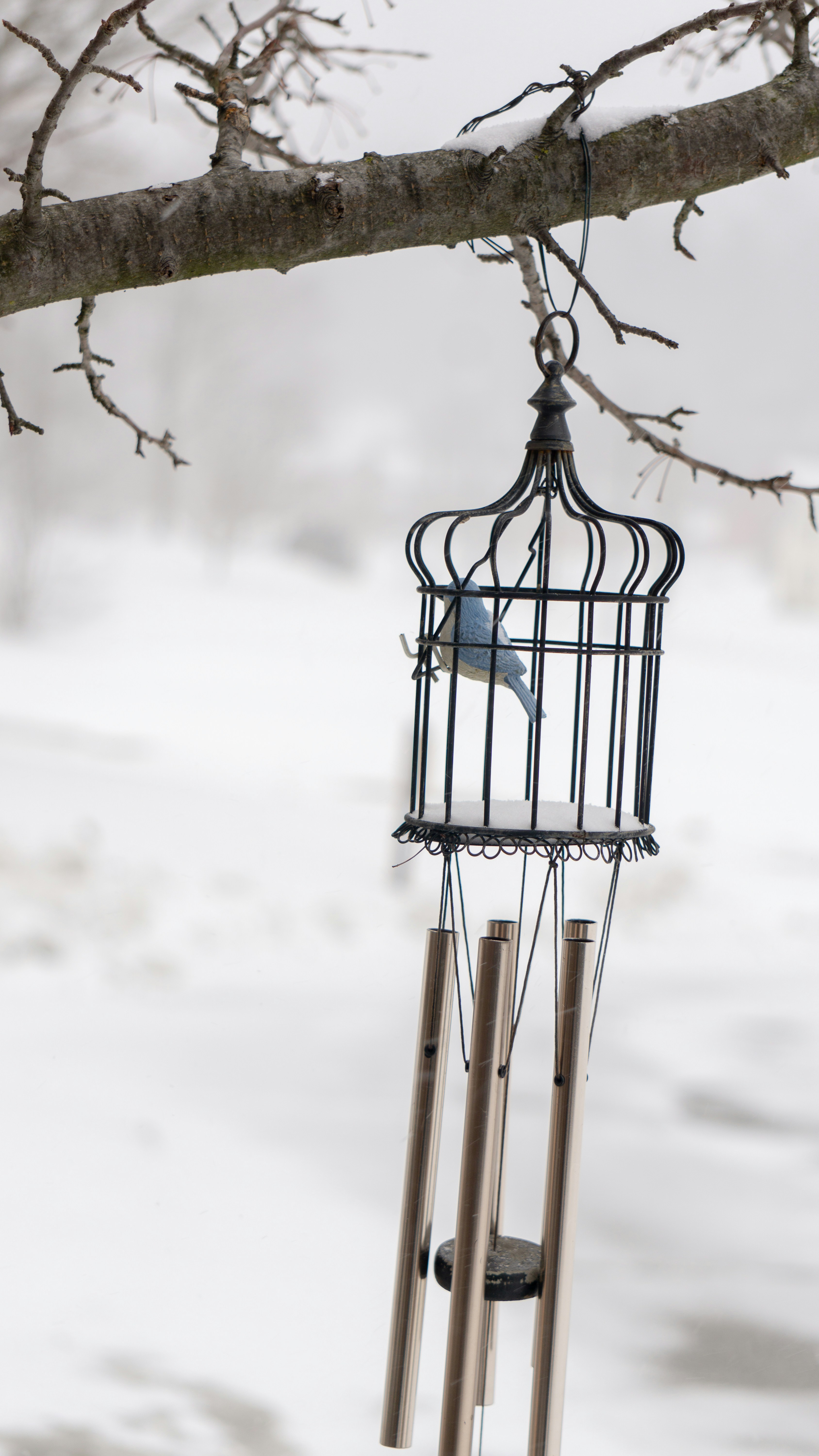 a wind chime hanging from a tree branch