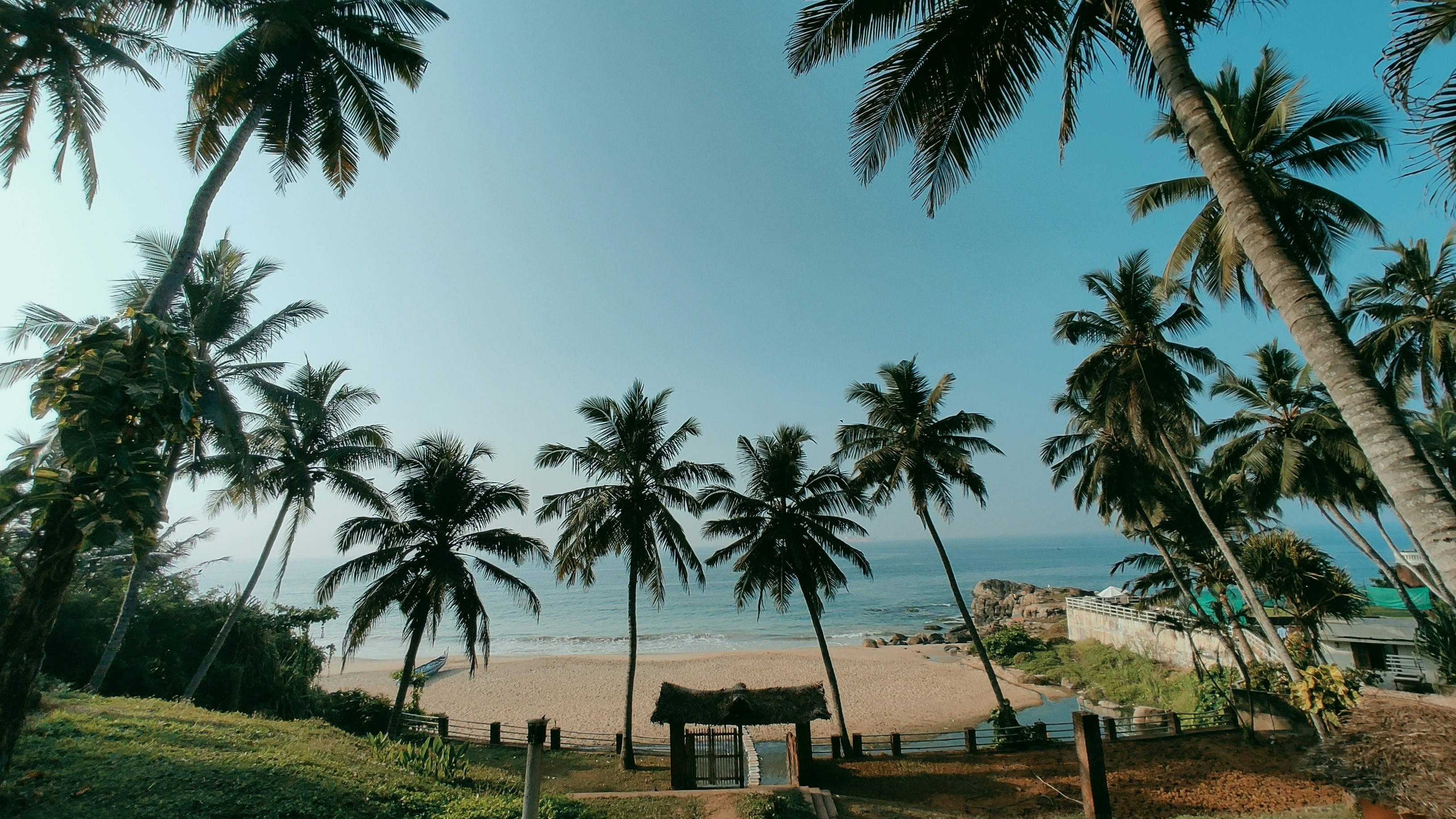 a beach with palm trees and a small hut