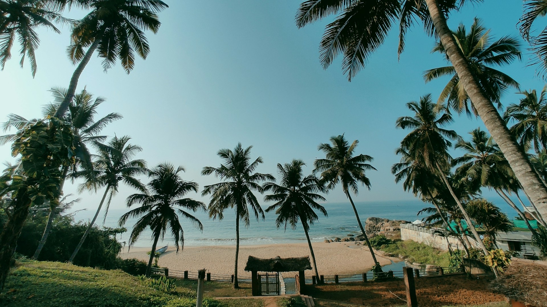 a beach with palm trees and a small hut