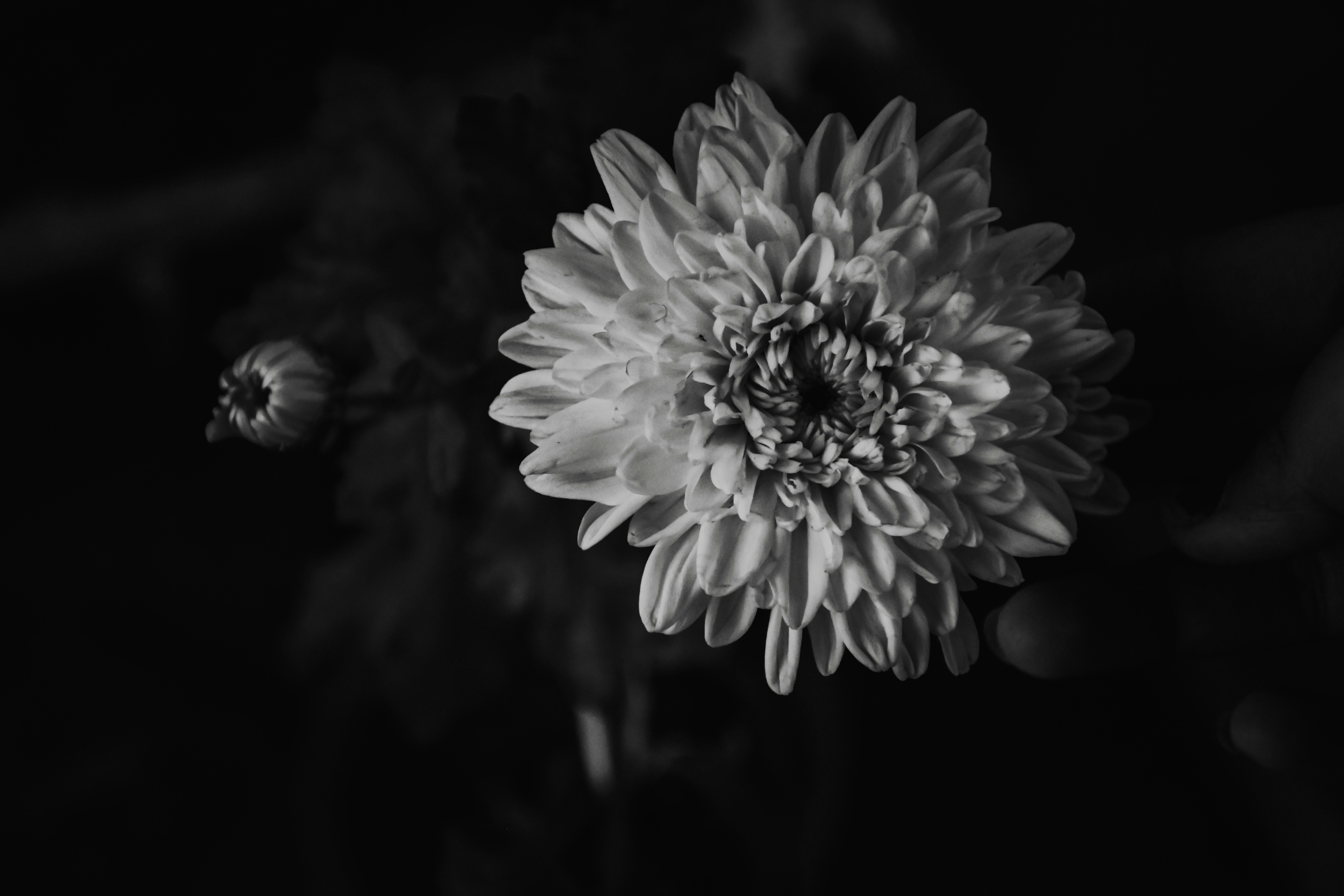 Photo by ankita_clicks