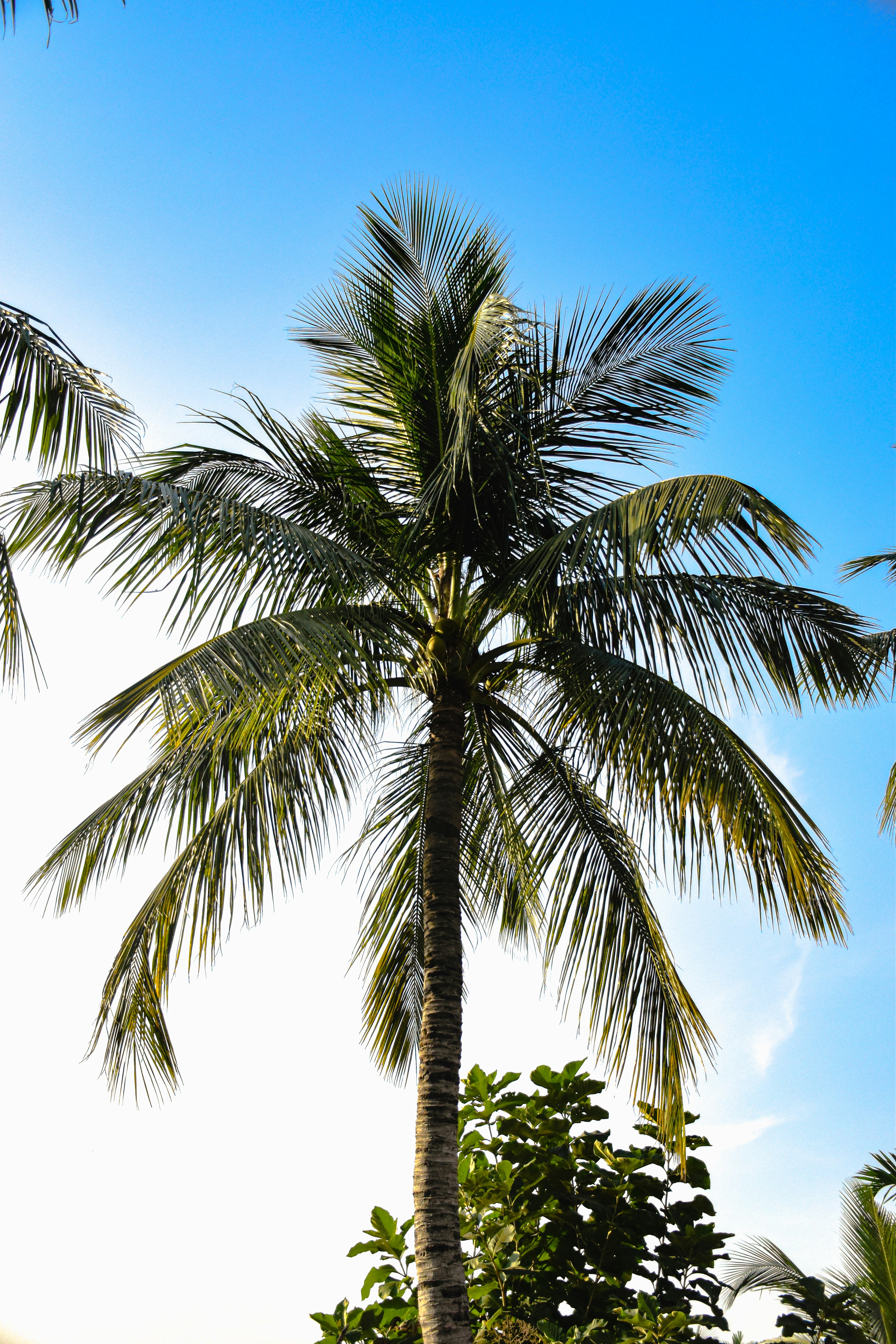 Photo by ankita_clicks