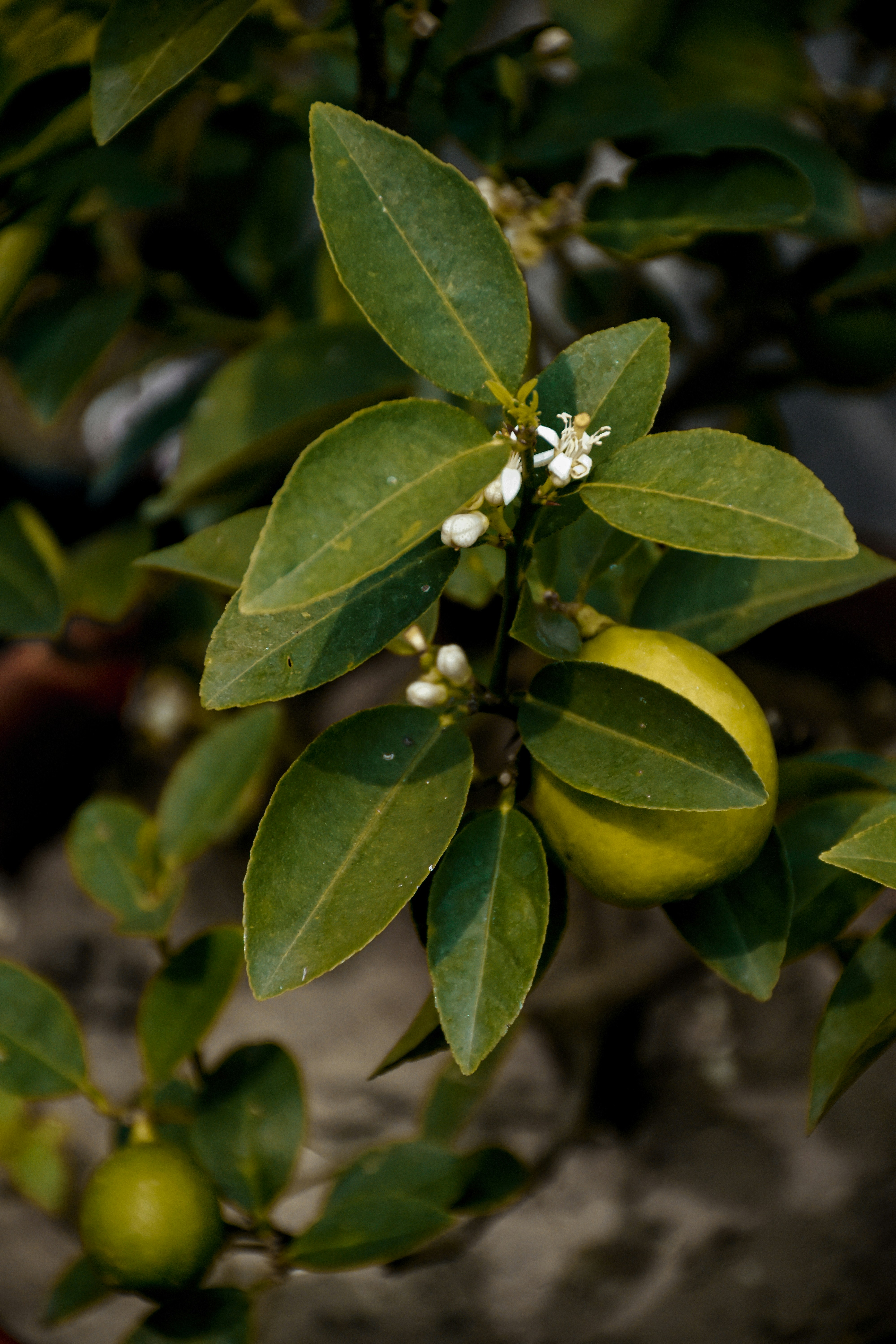 Photo by ankita_clicks