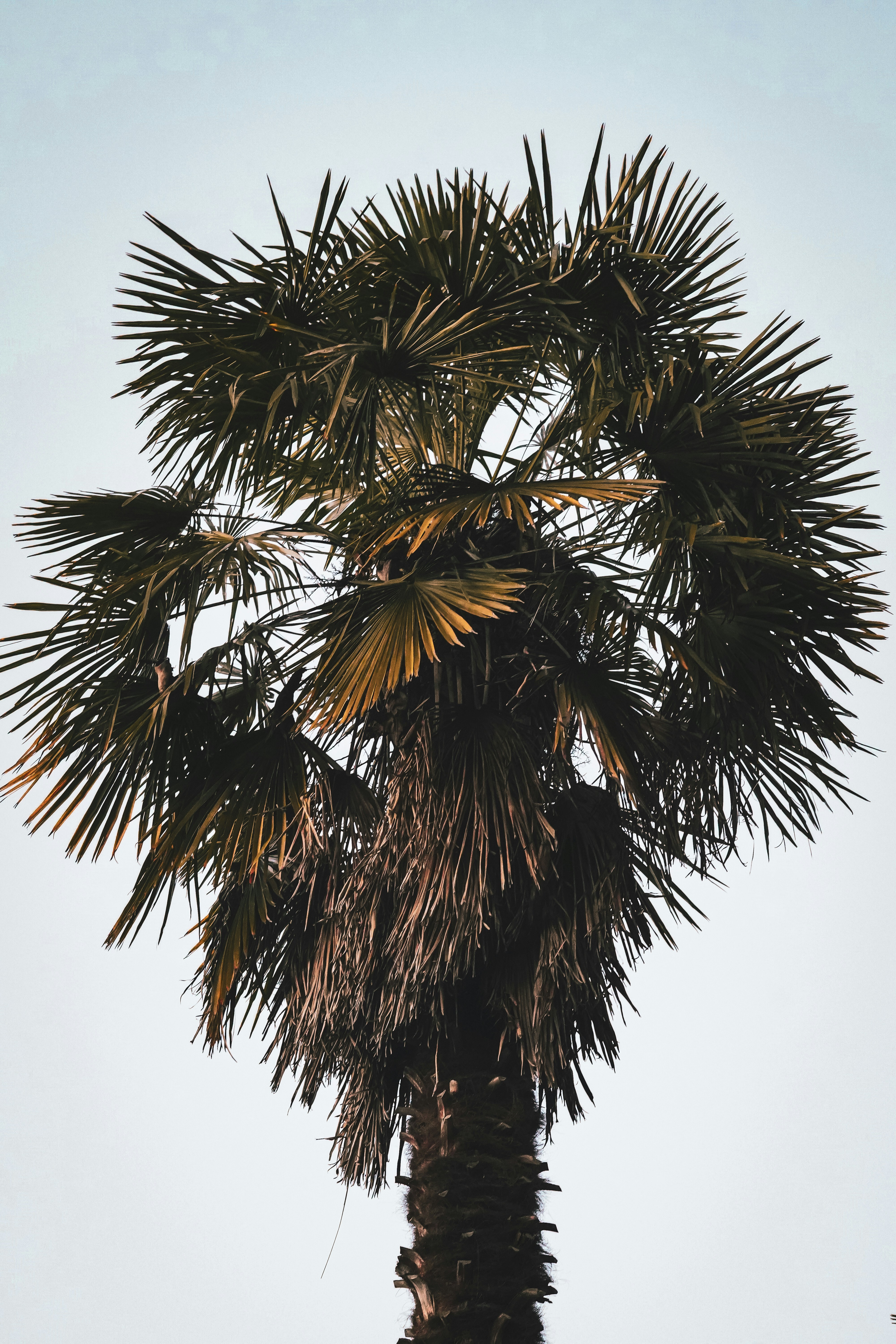 Photo by baptistebuiss