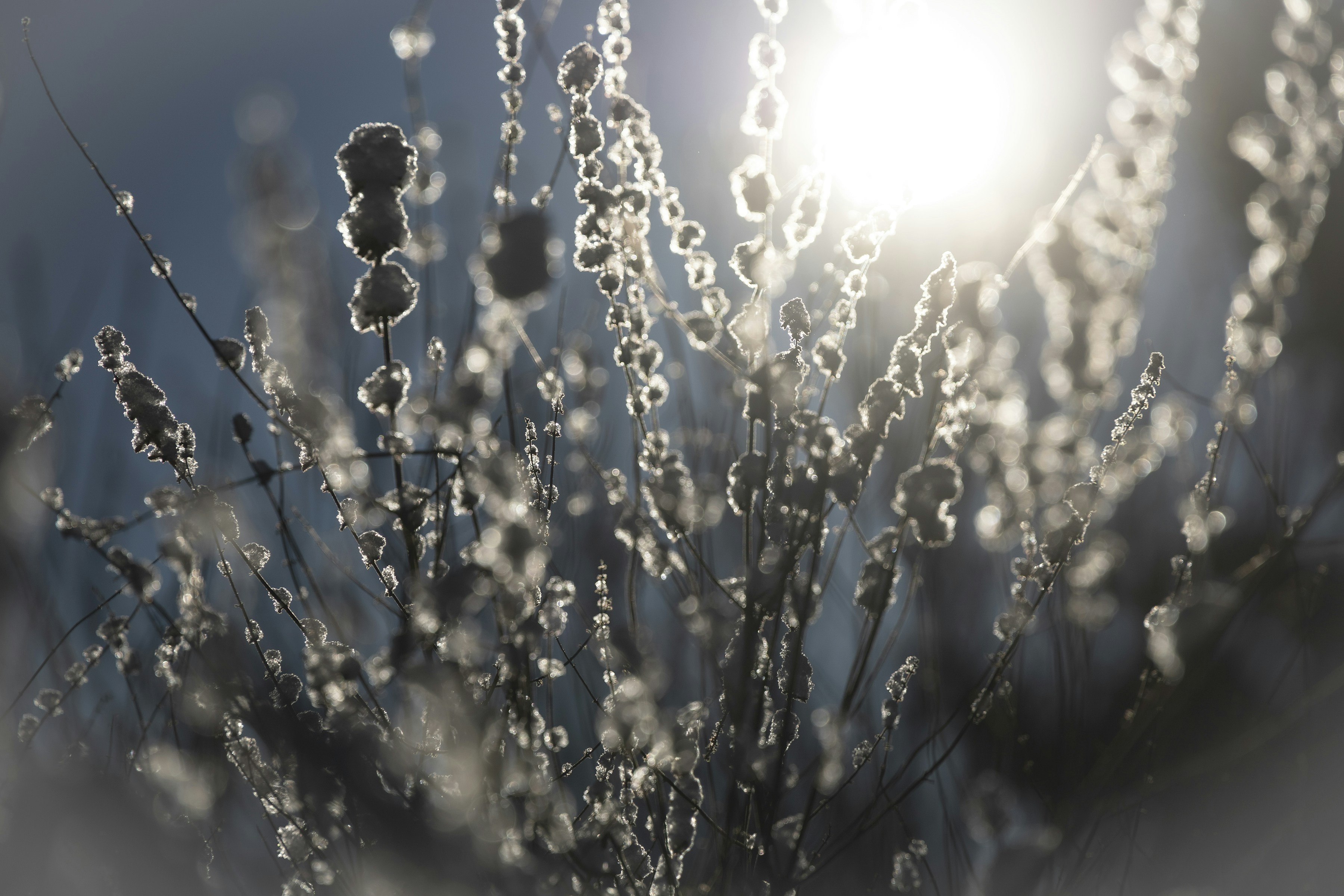 Photo by western_skies