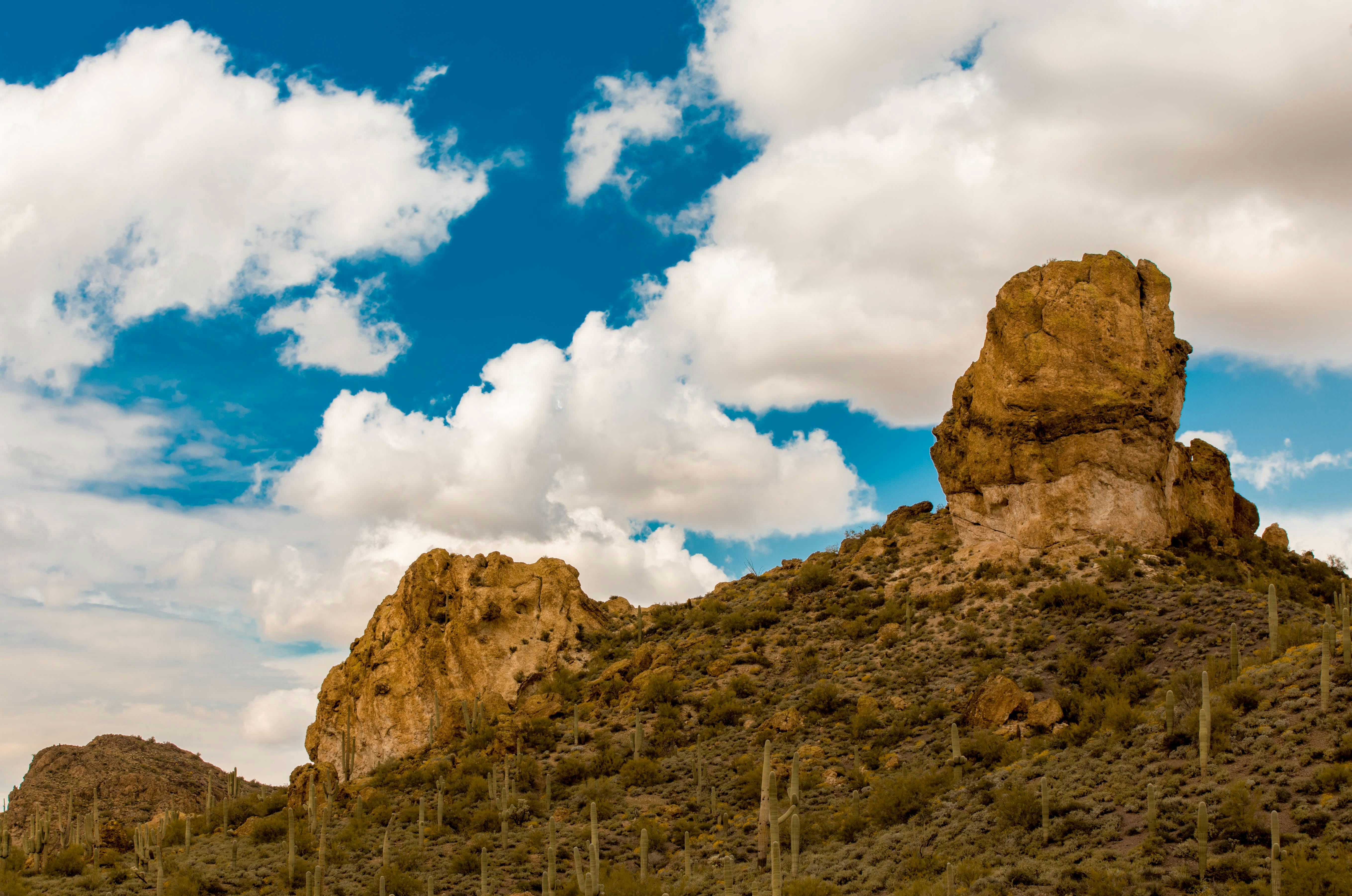 Photo by scottagoodwill