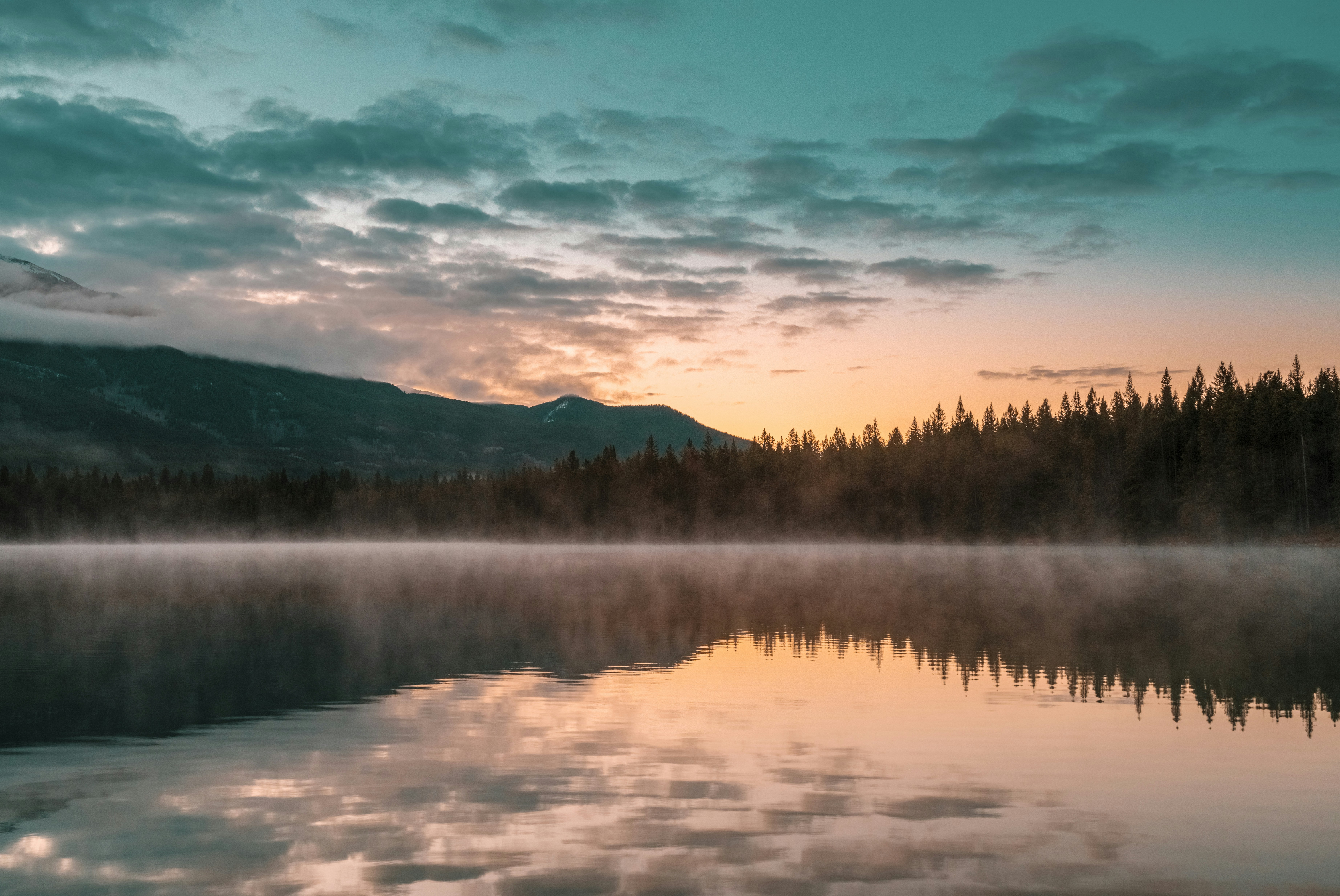 Photo by scottagoodwill