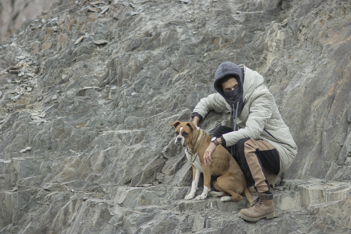 Person hiking with dog on mountain