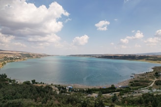 a large body of water surrounded by trees
