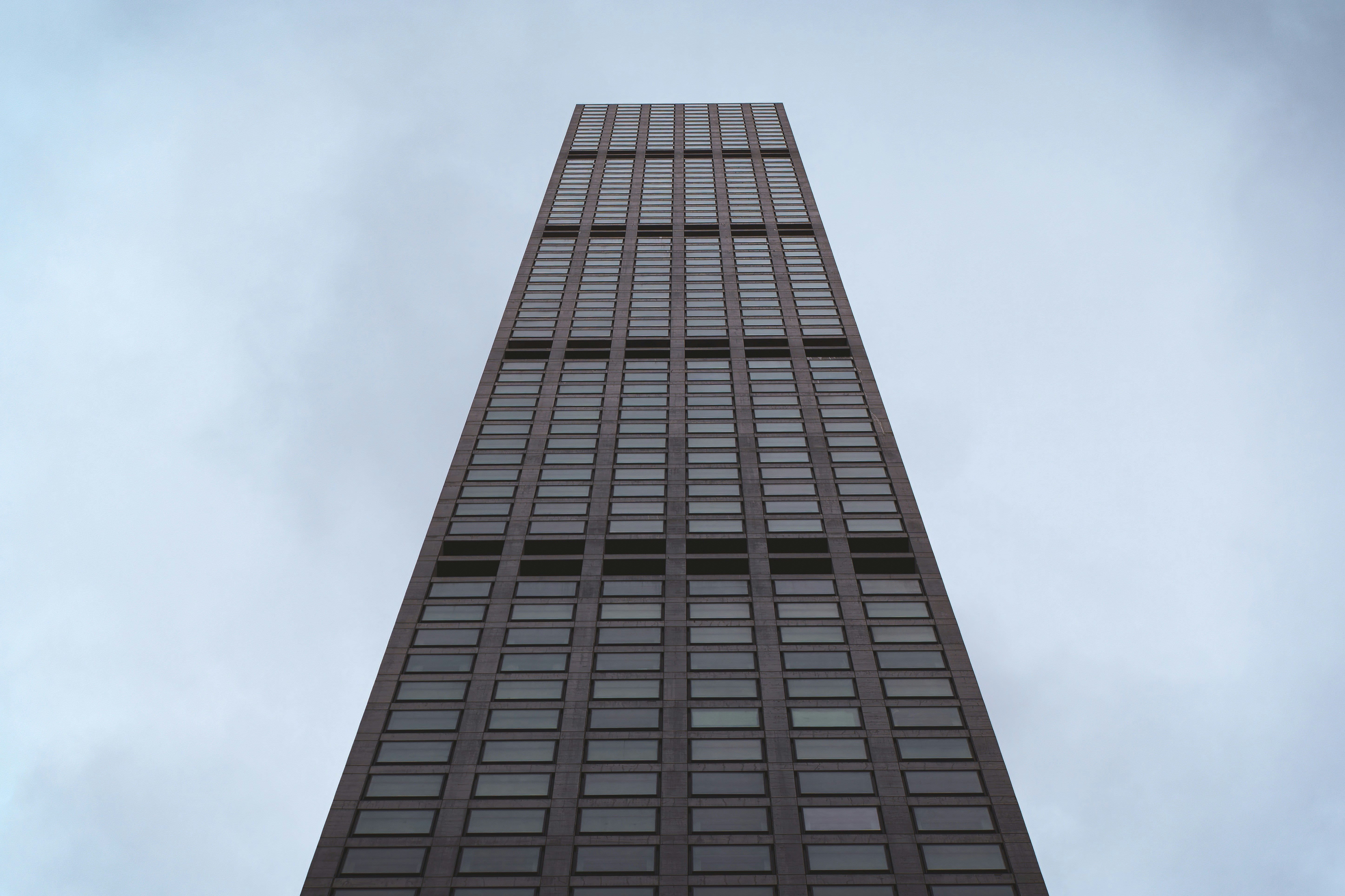 Photo by clayleconey