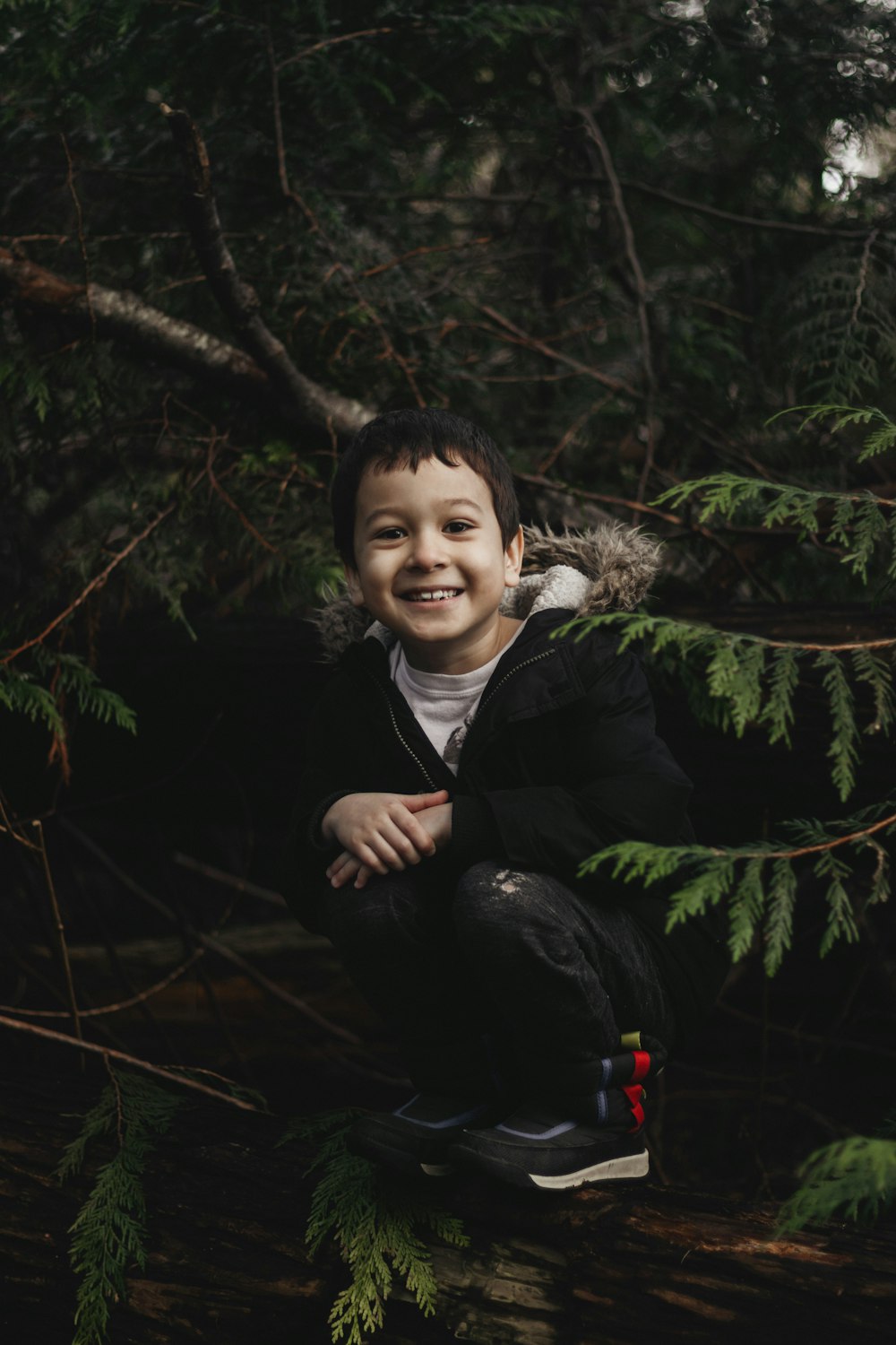 a young boy sitting on top of a tree branch