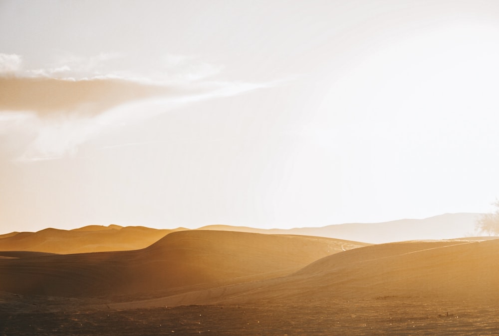 a lone tree in the middle of a desert