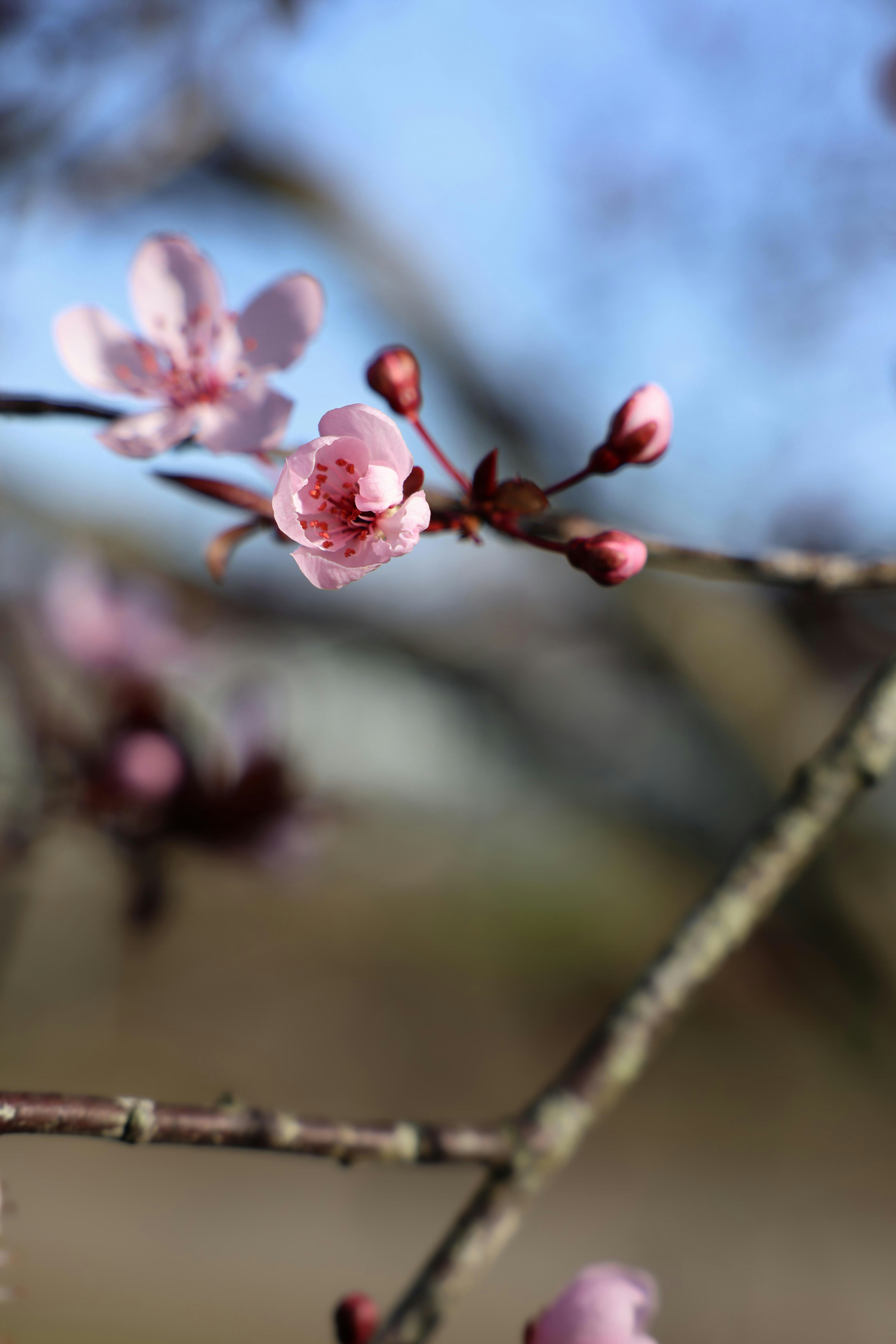 Photo by johanna_m_jordan_photography