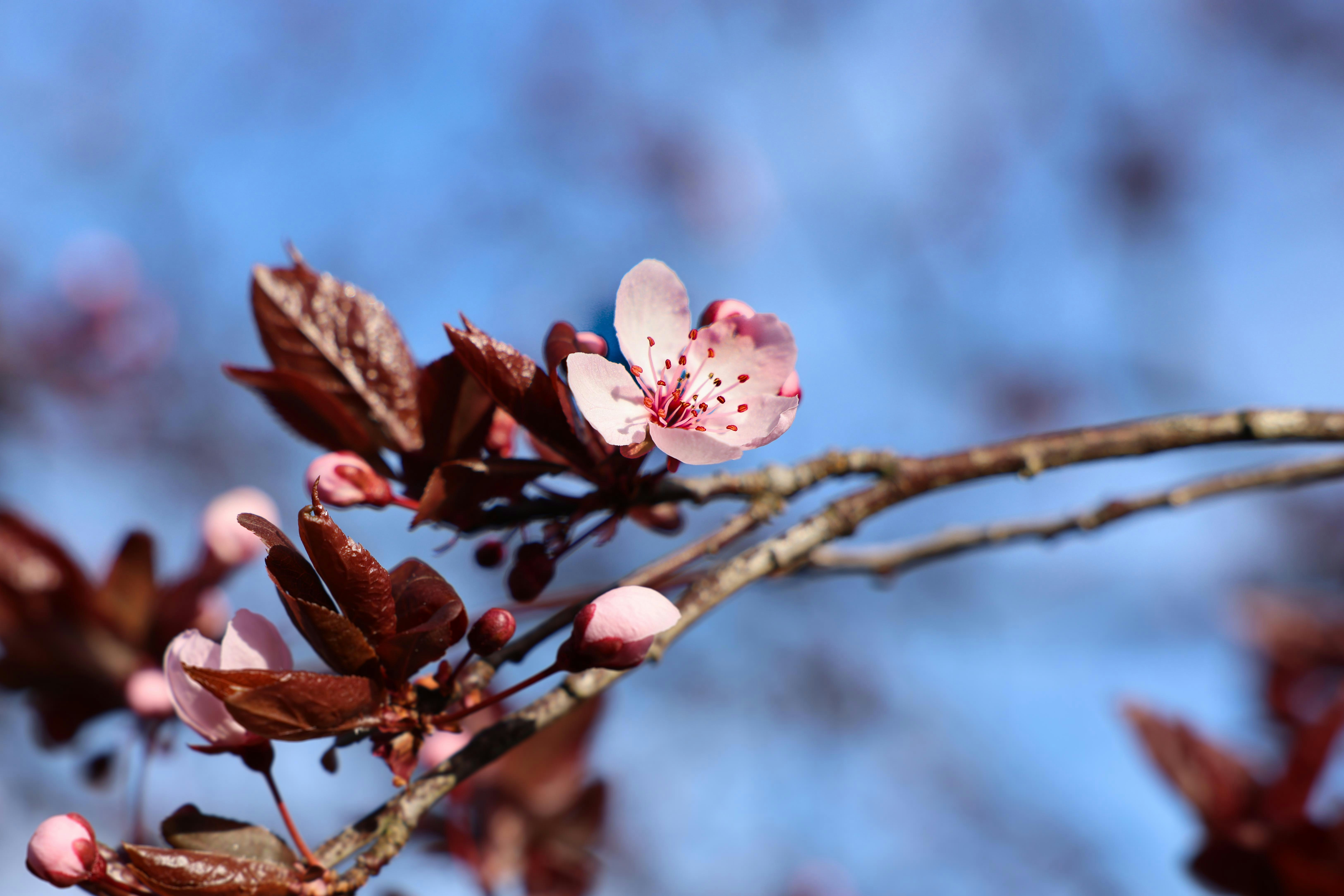 Photo by johanna_m_jordan_photography