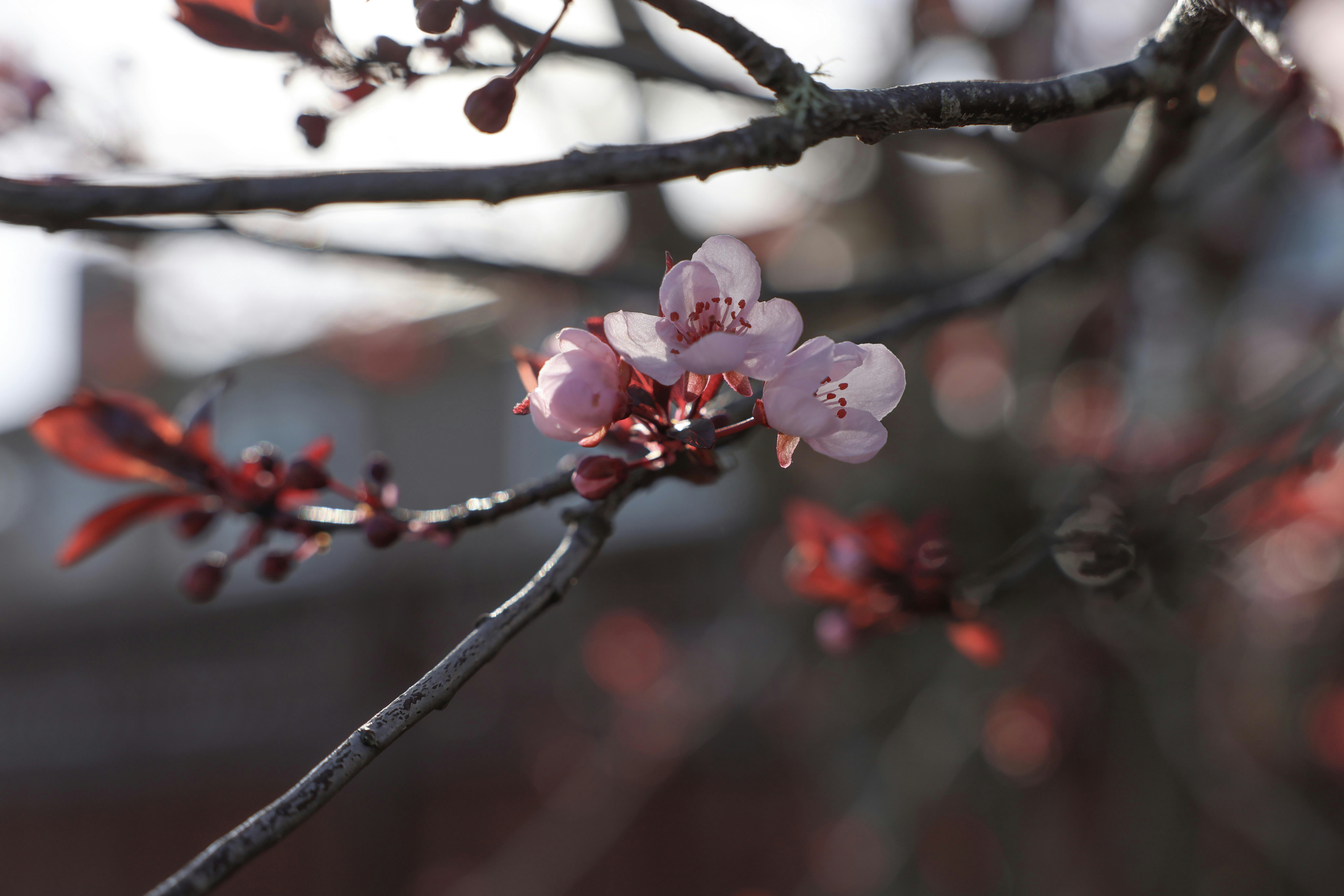 Photo by johanna_m_jordan_photography