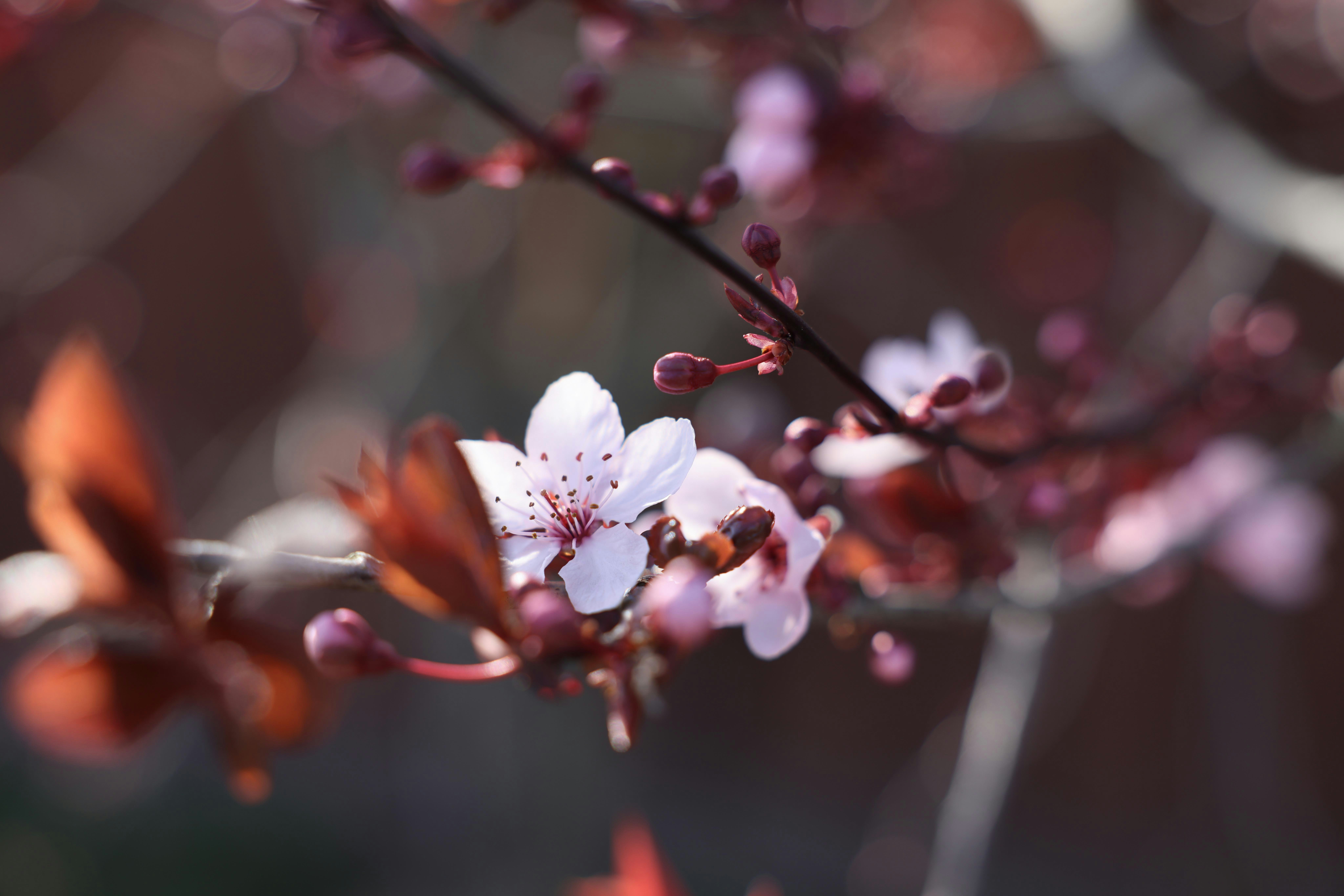 Photo by johanna_m_jordan_photography