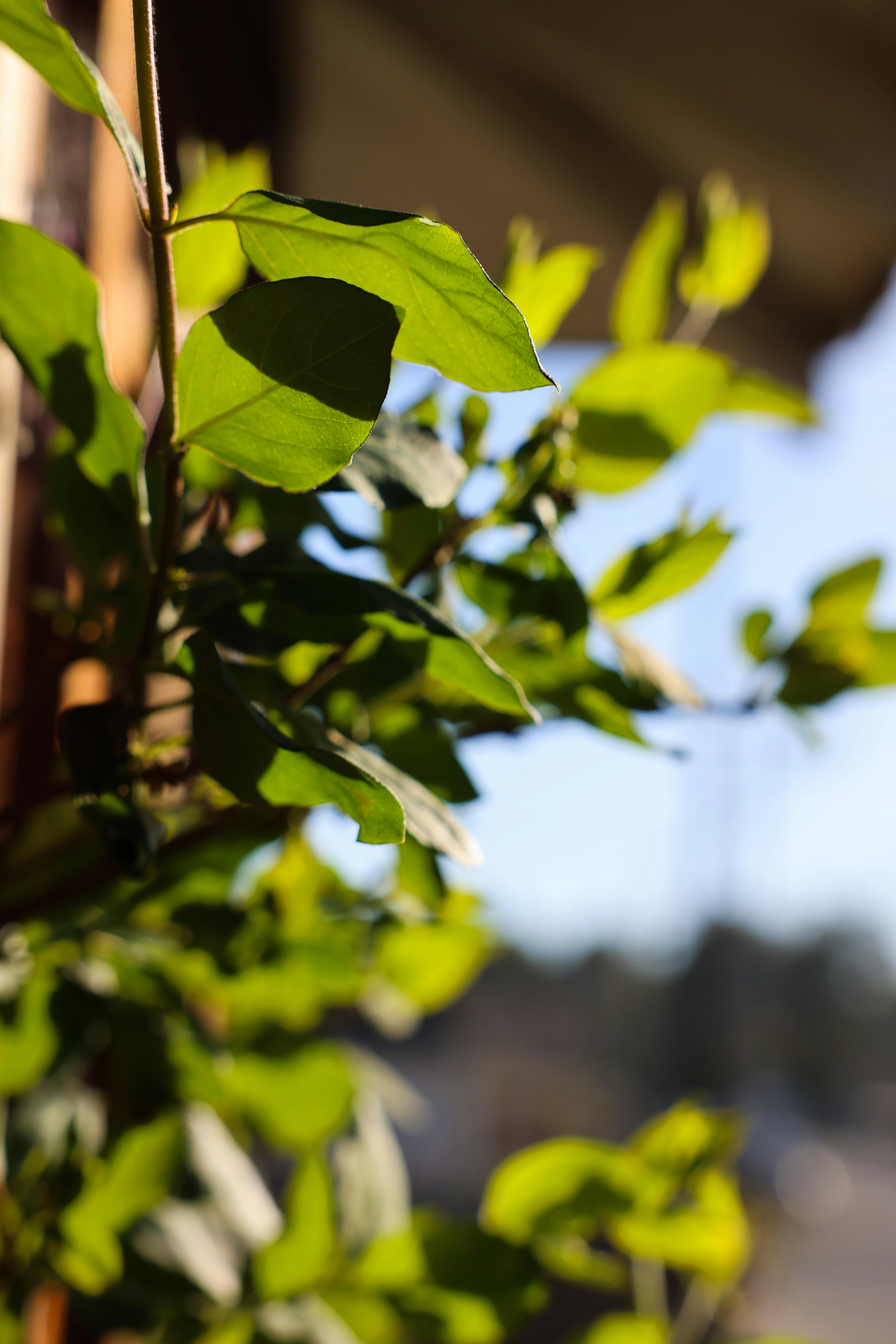 Photo by johanna_m_jordan_photography