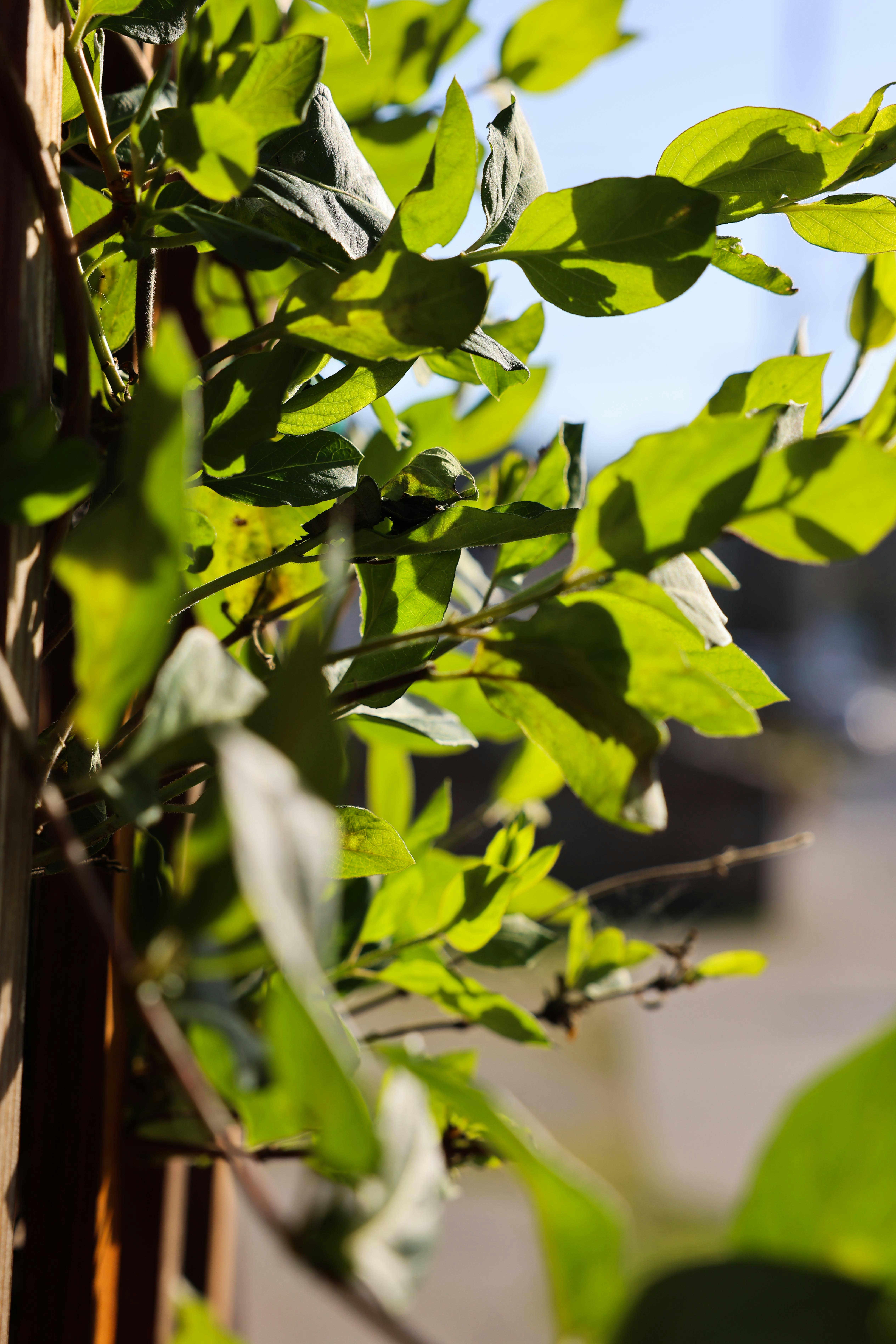 Photo by johanna_m_jordan_photography