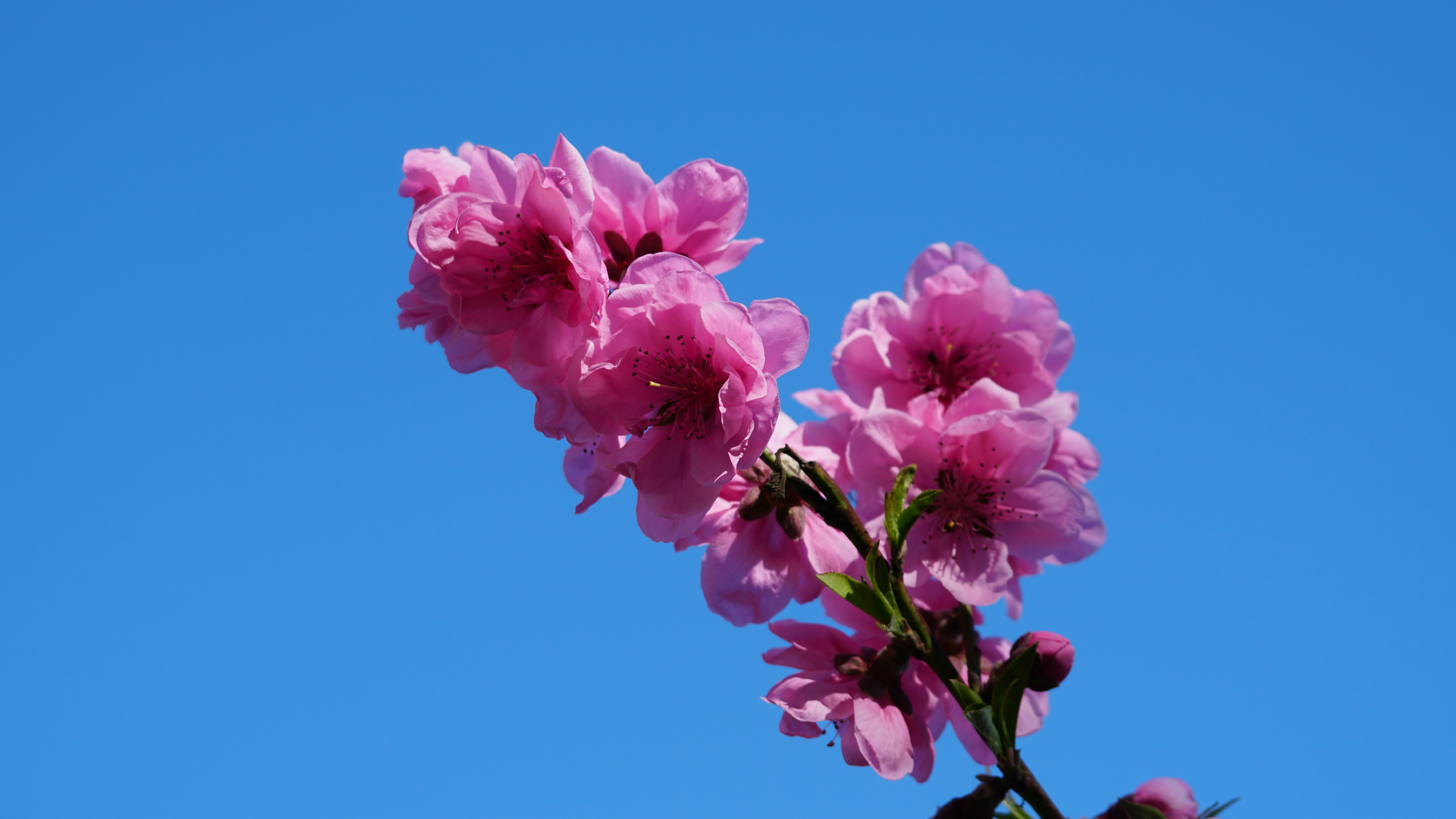 Photo by joshogden360