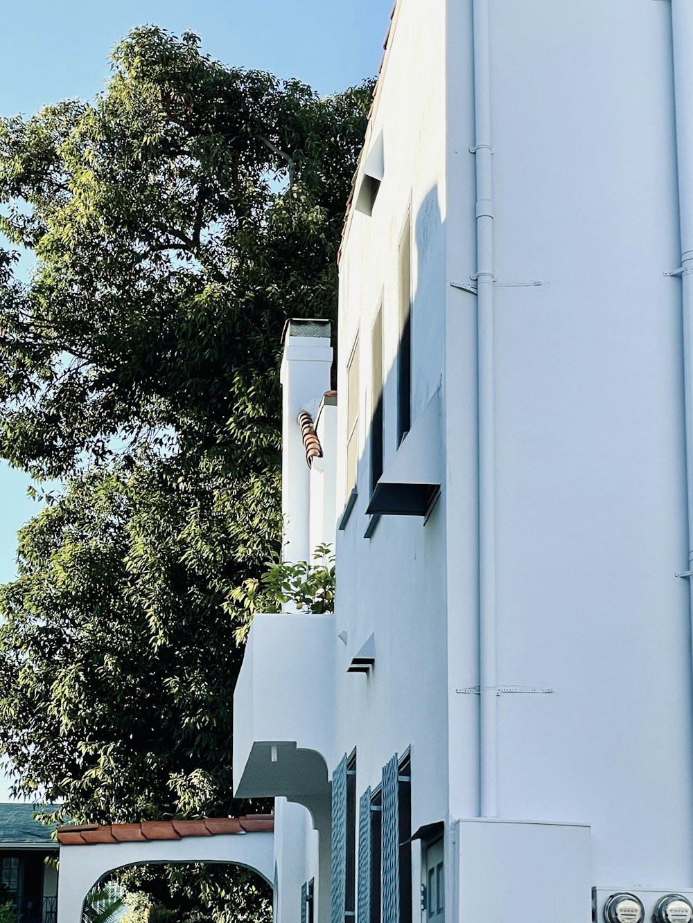 a giraffe sticking its head out of a window