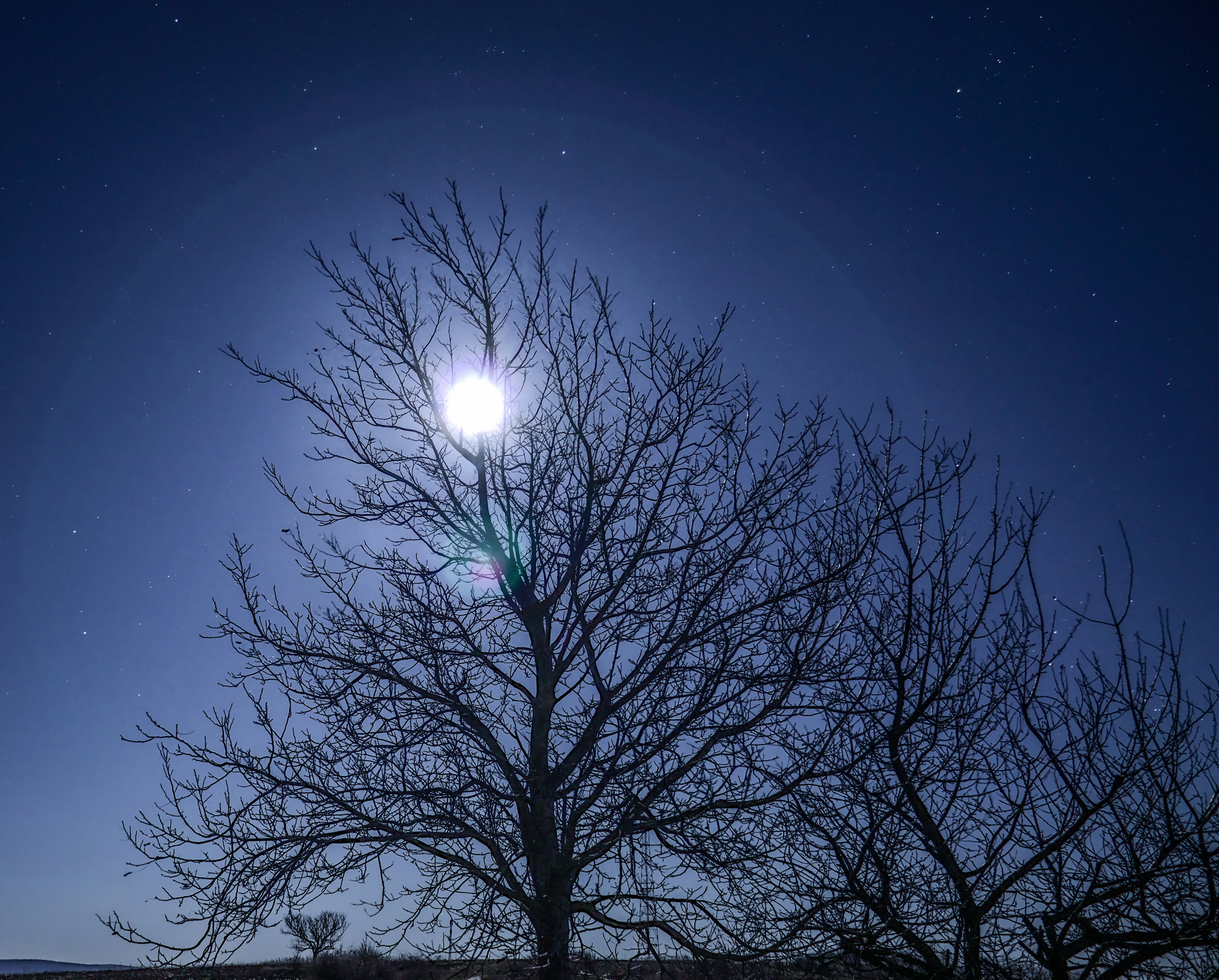 창덕궁 달빛기행에 대한 궁금증 Q&A