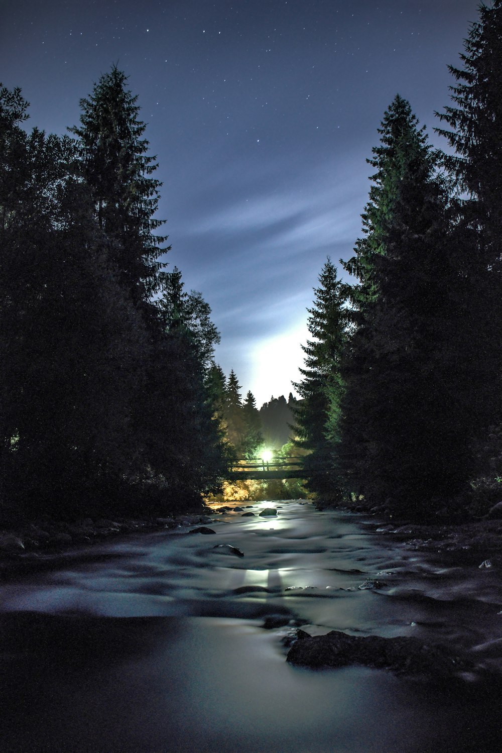 a river running through a forest under a night sky