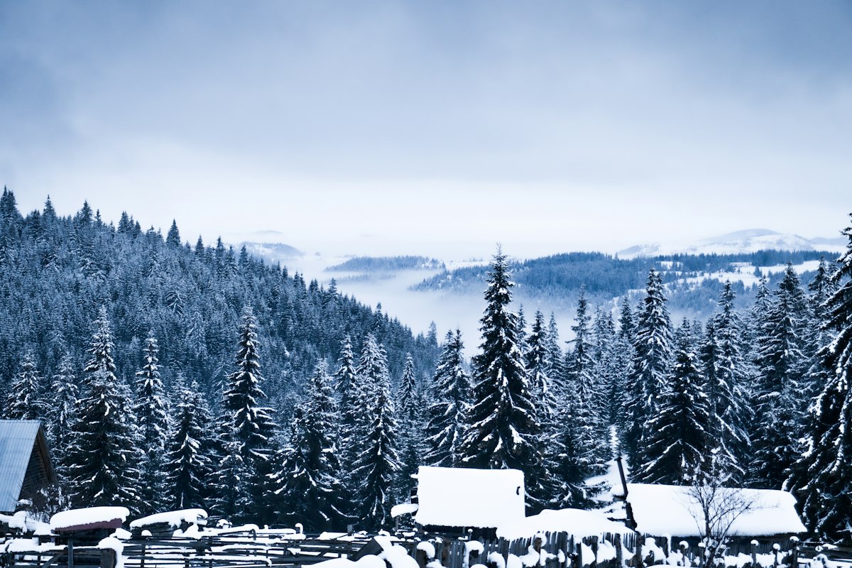 Todtnauberg photo 1