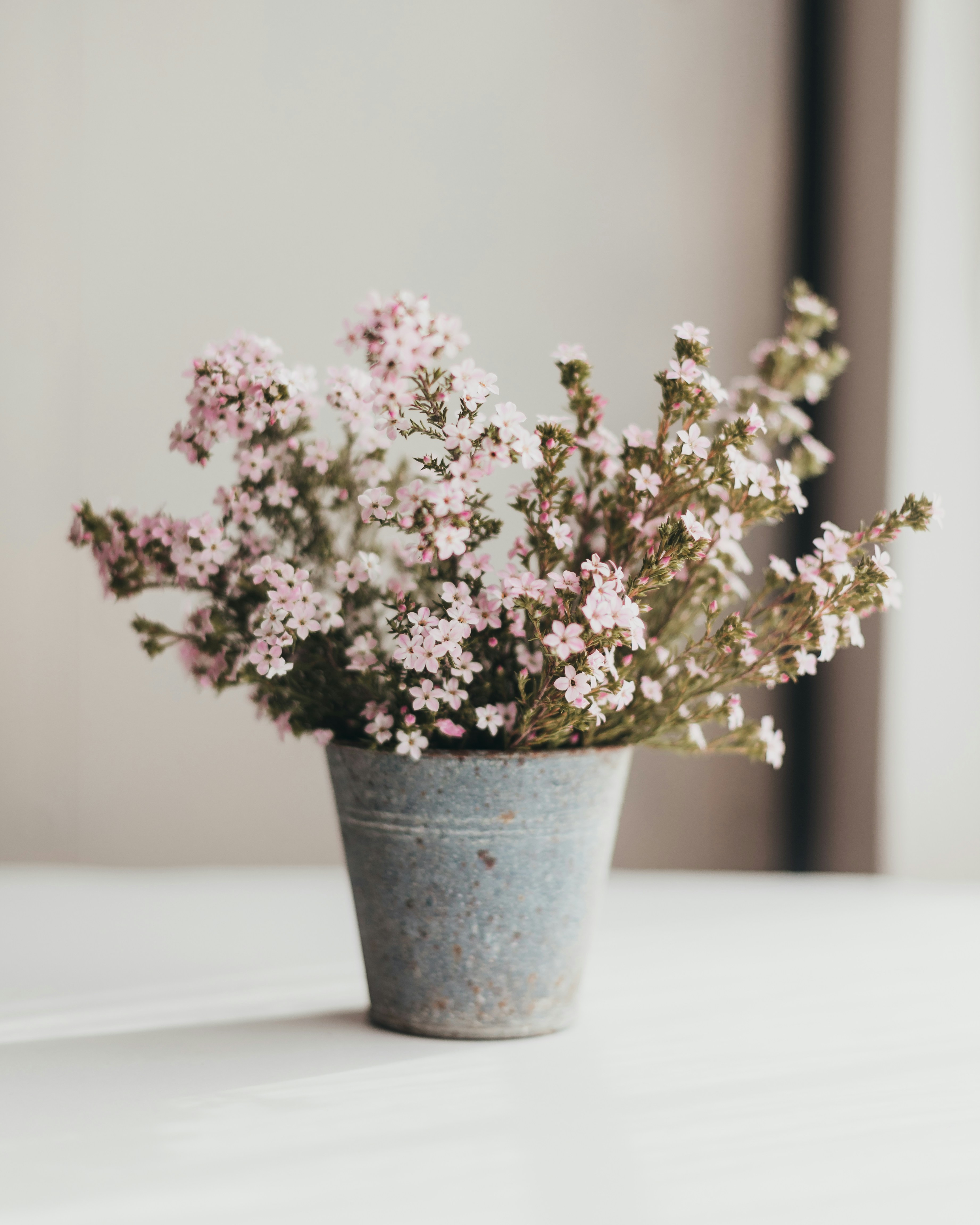 Photo by sixteenmilesout