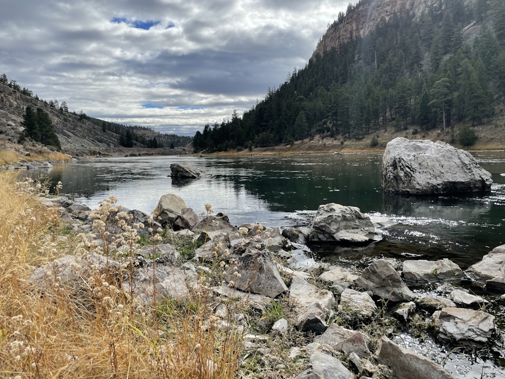 a body of water surrounded by rocks and grass