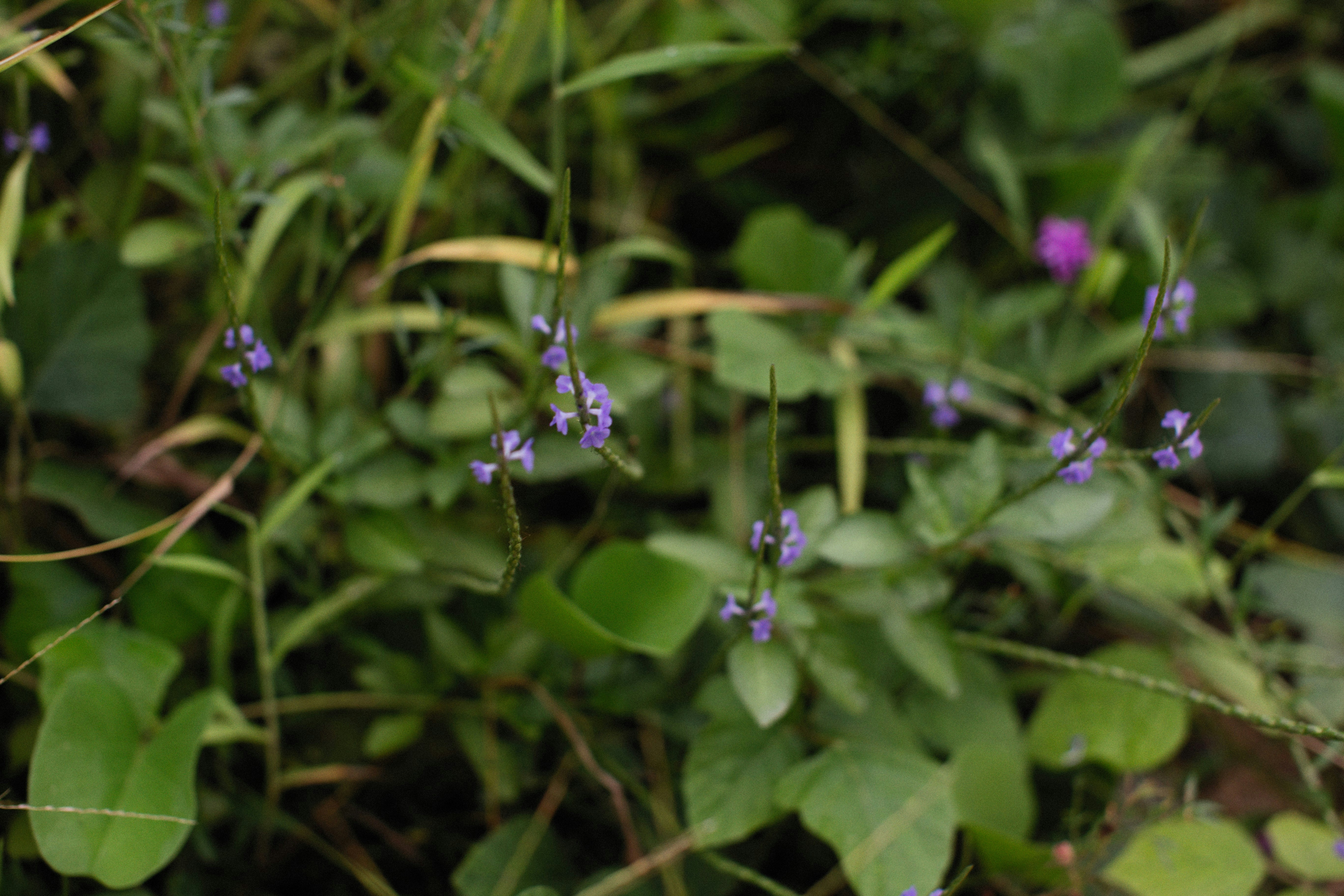 Photo by alexeydemidov