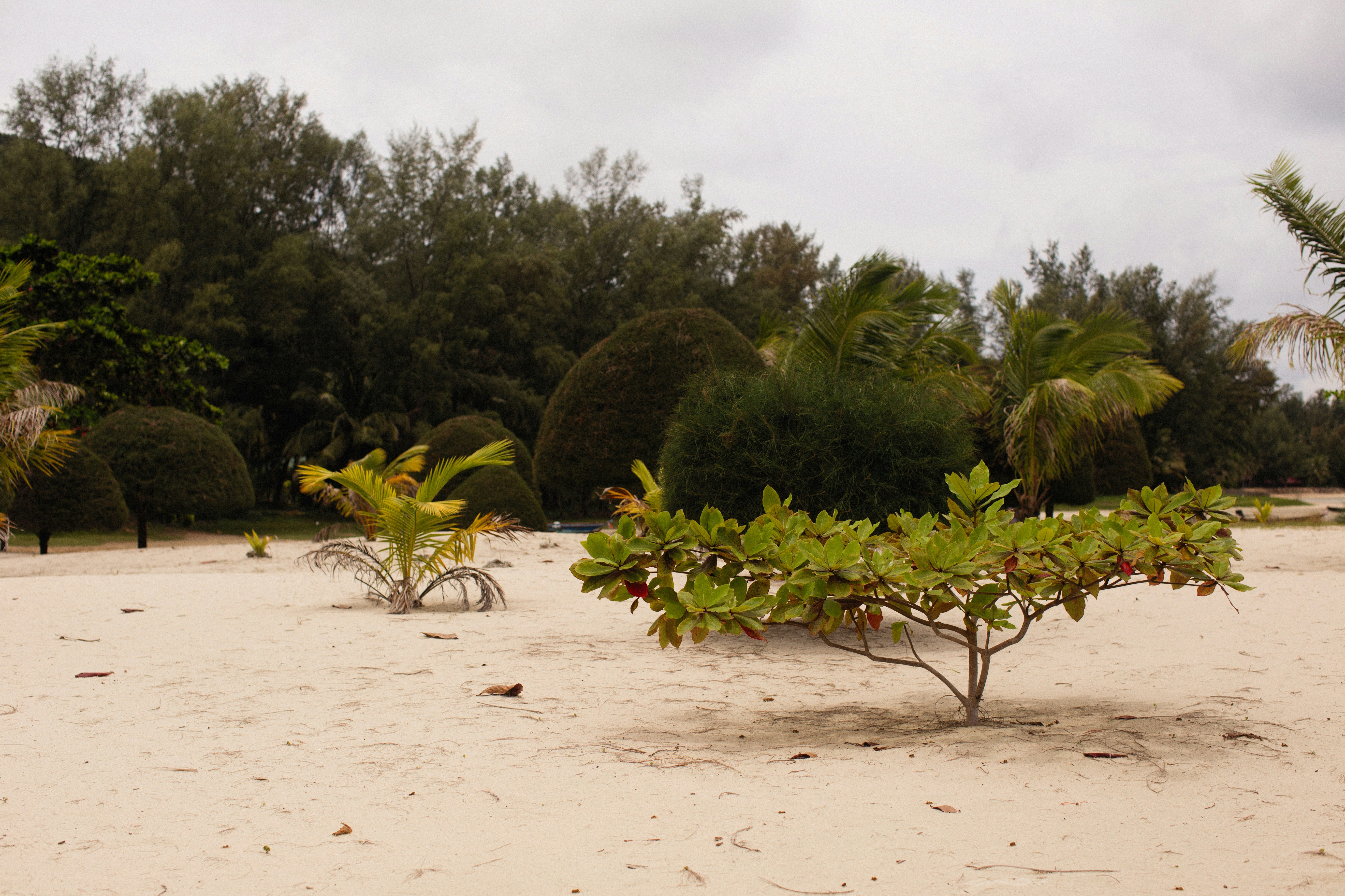 Photo by alexeydemidov