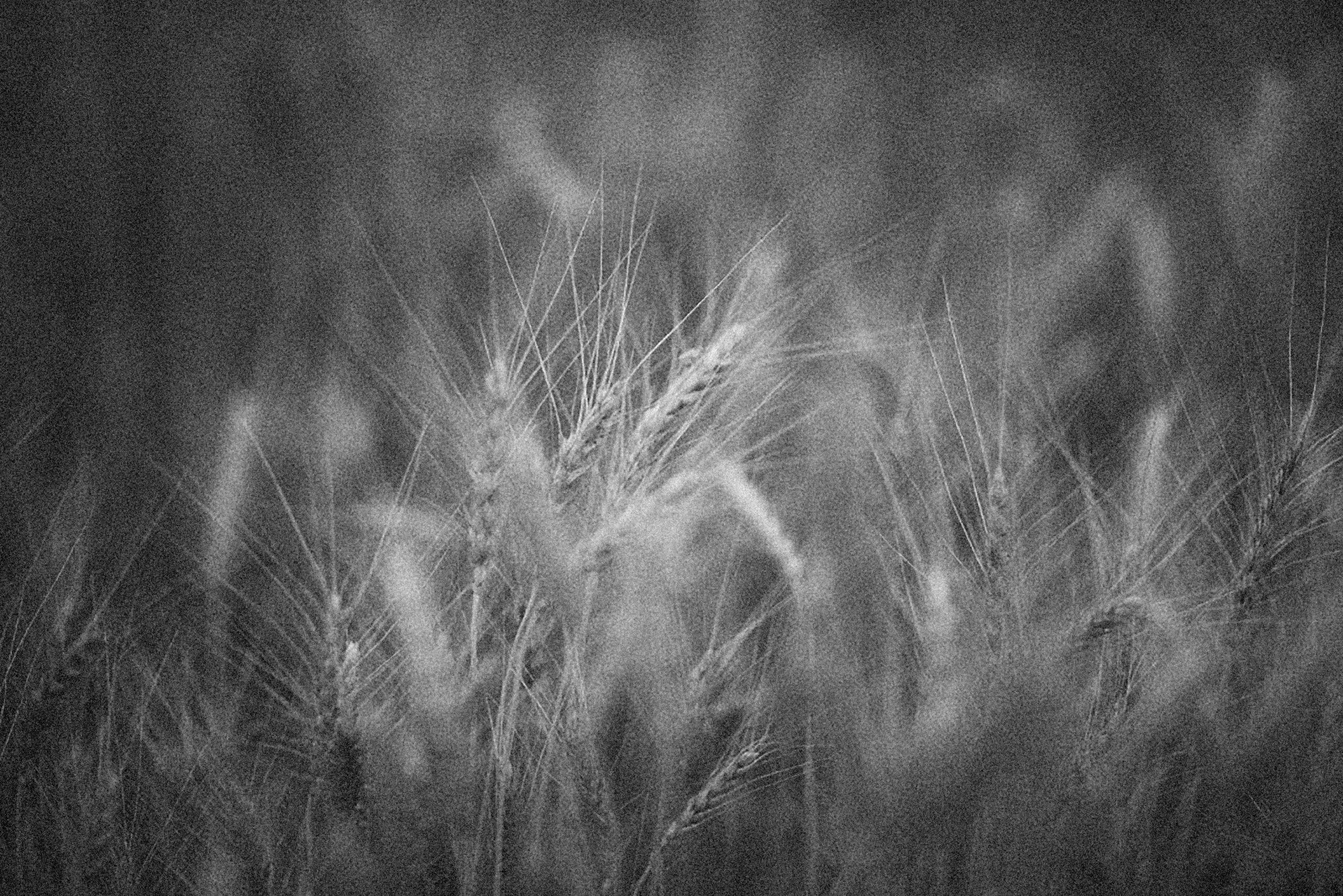 Photo by alexeydemidov