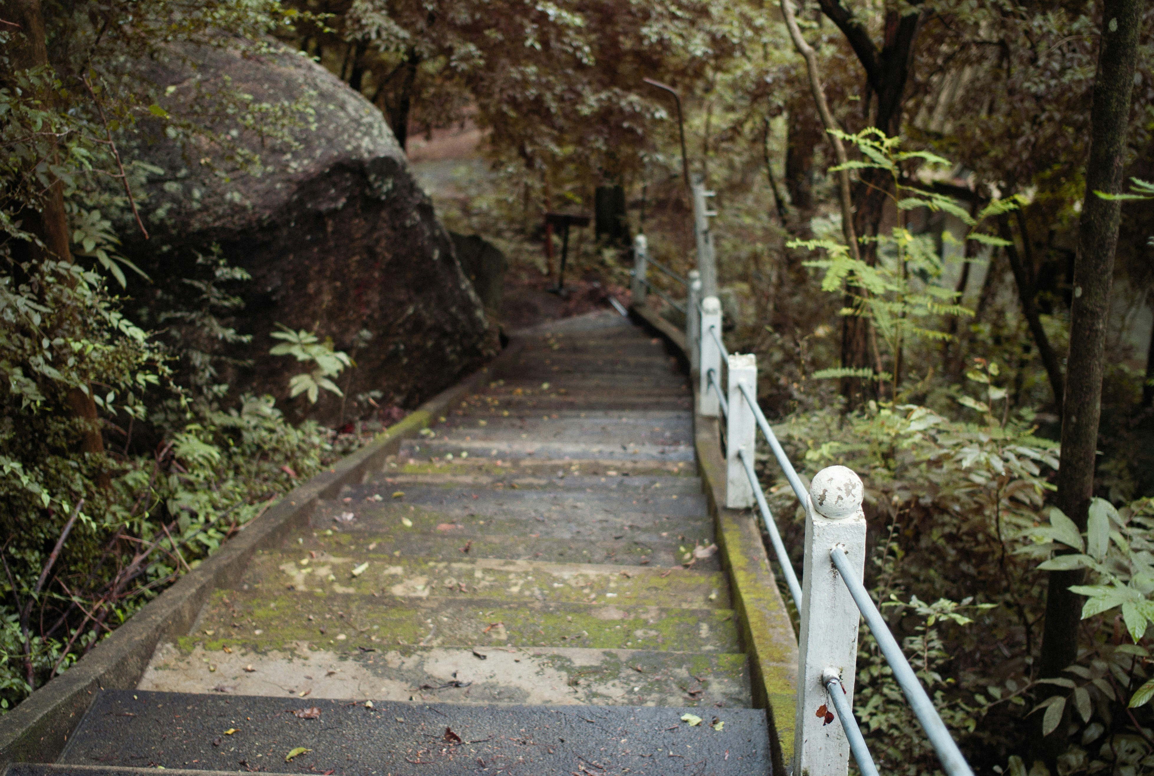 Photo by alexeydemidov