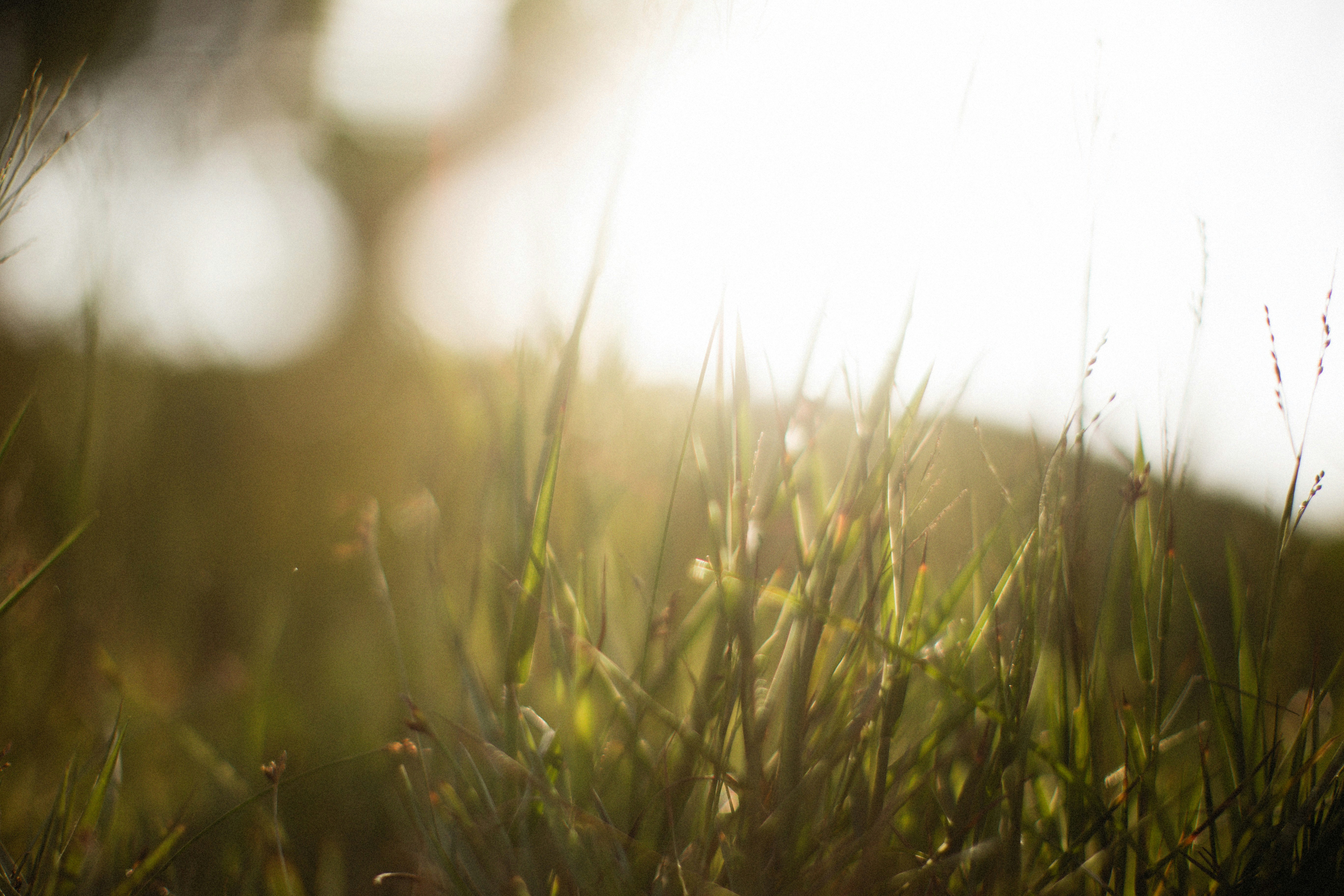 Photo by alexeydemidov