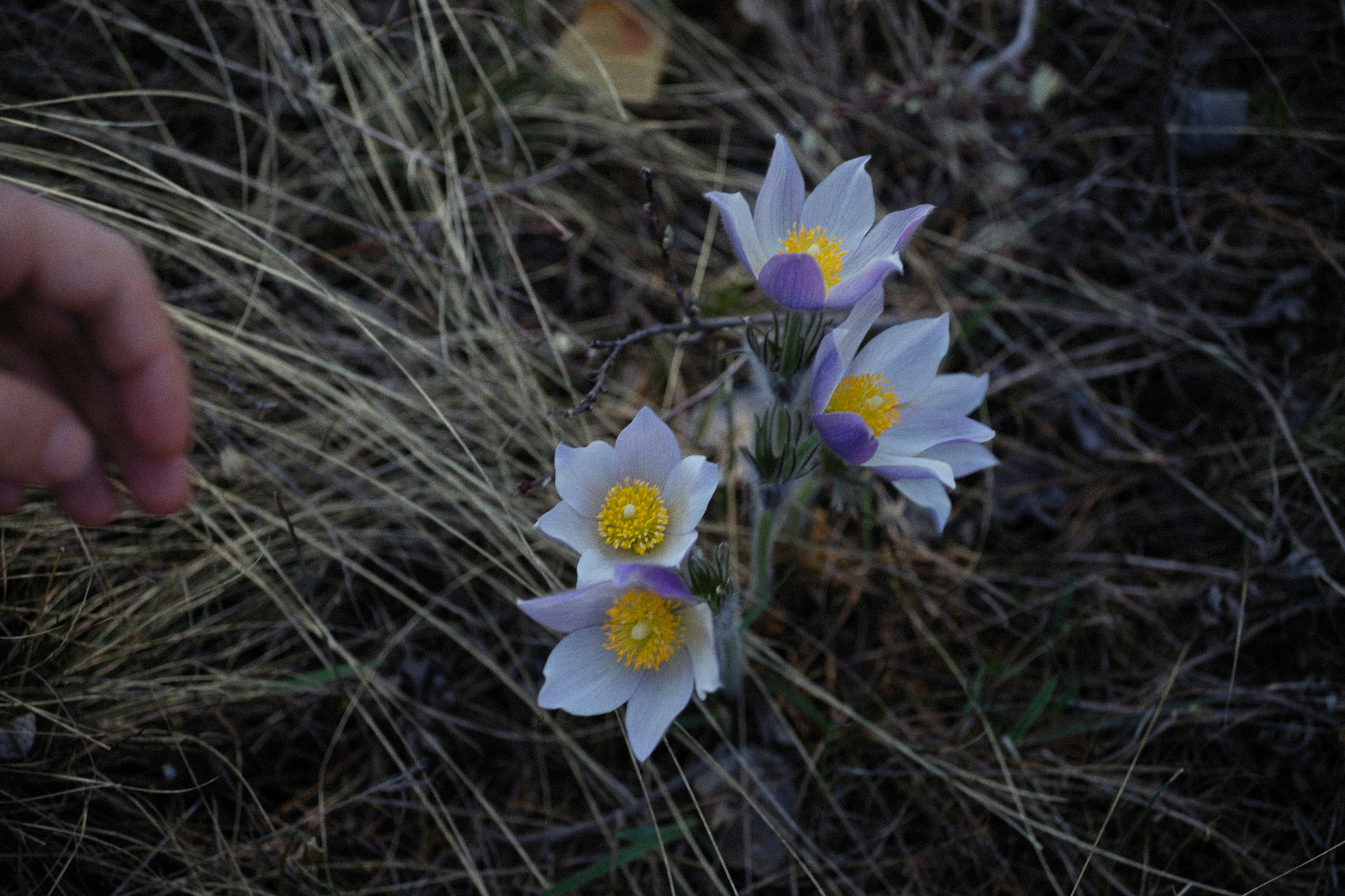 Photo by alexeydemidov