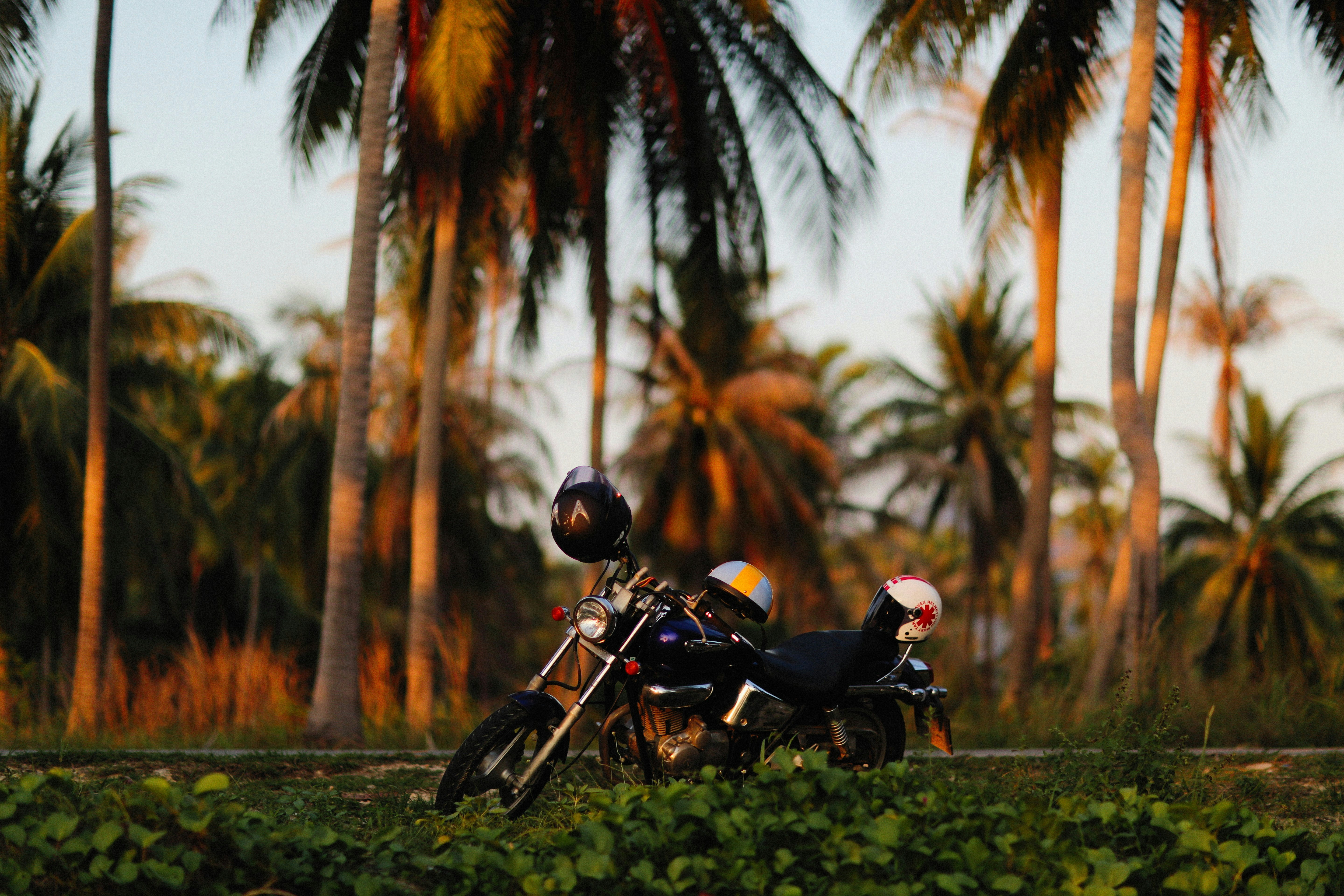 Photo by alexeydemidov