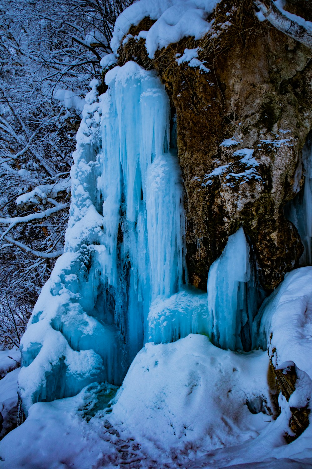 a frozen waterfall in the middle of a forest