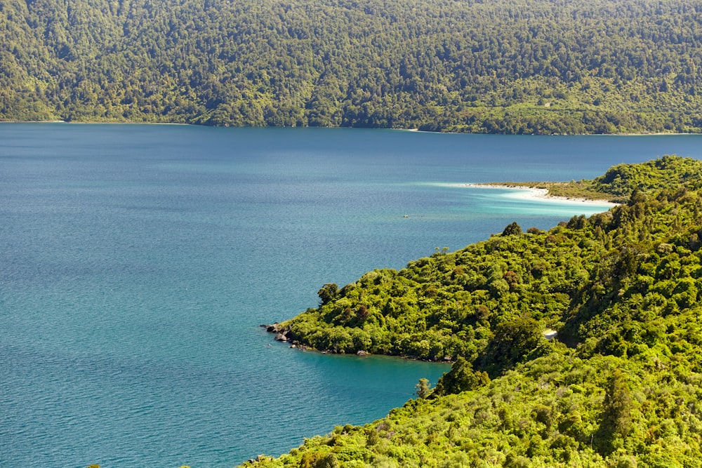 a large body of water surrounded by lush green trees