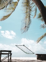 A cozy beachside hammock swaying between two palm trees under a bright blue sky.