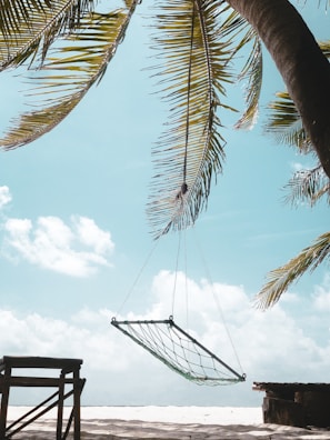 A hammock strung between palm trees with a view of the endless blue sea under a bright sky.